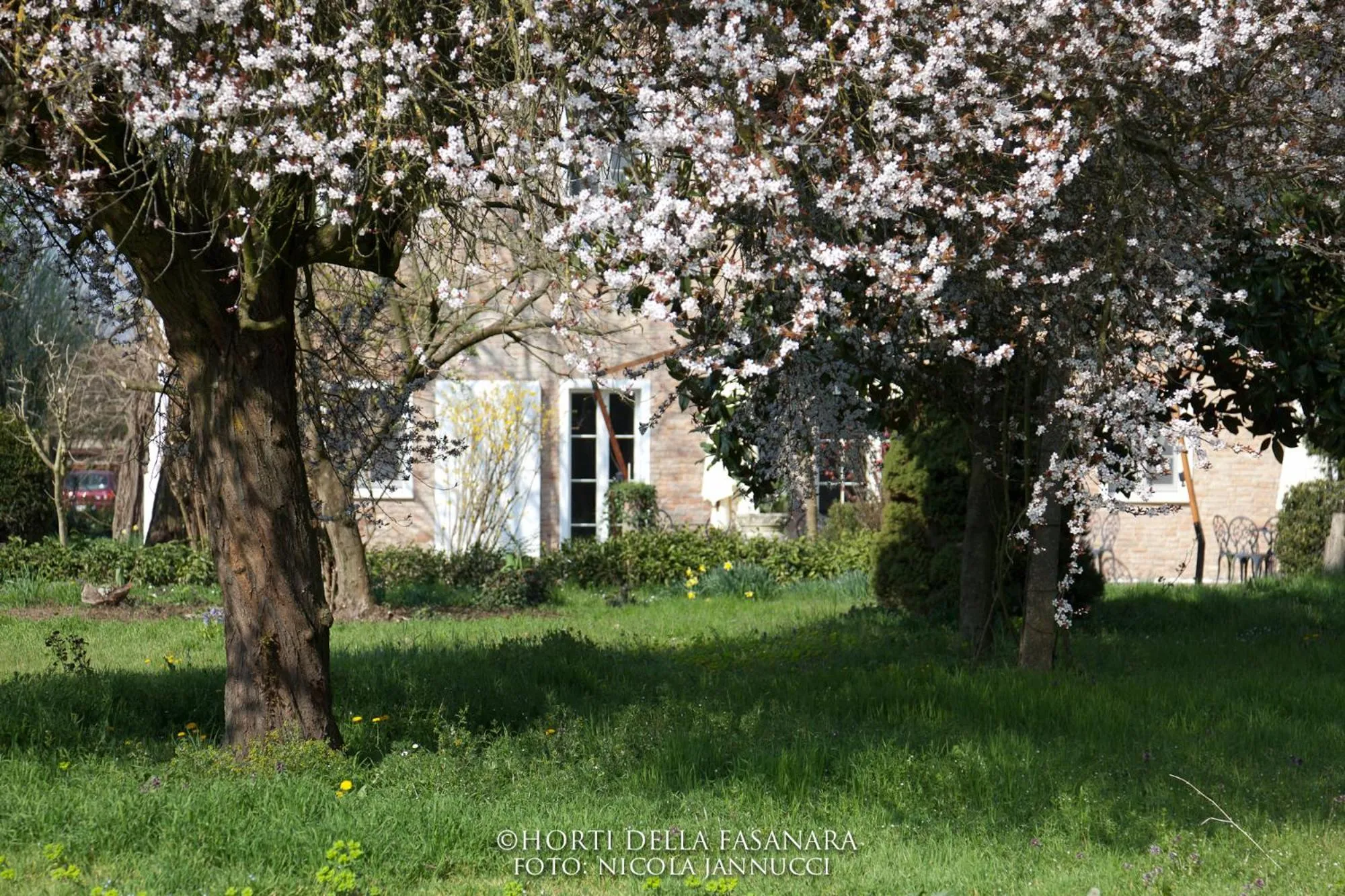 Garden in Horti Della Fasanara