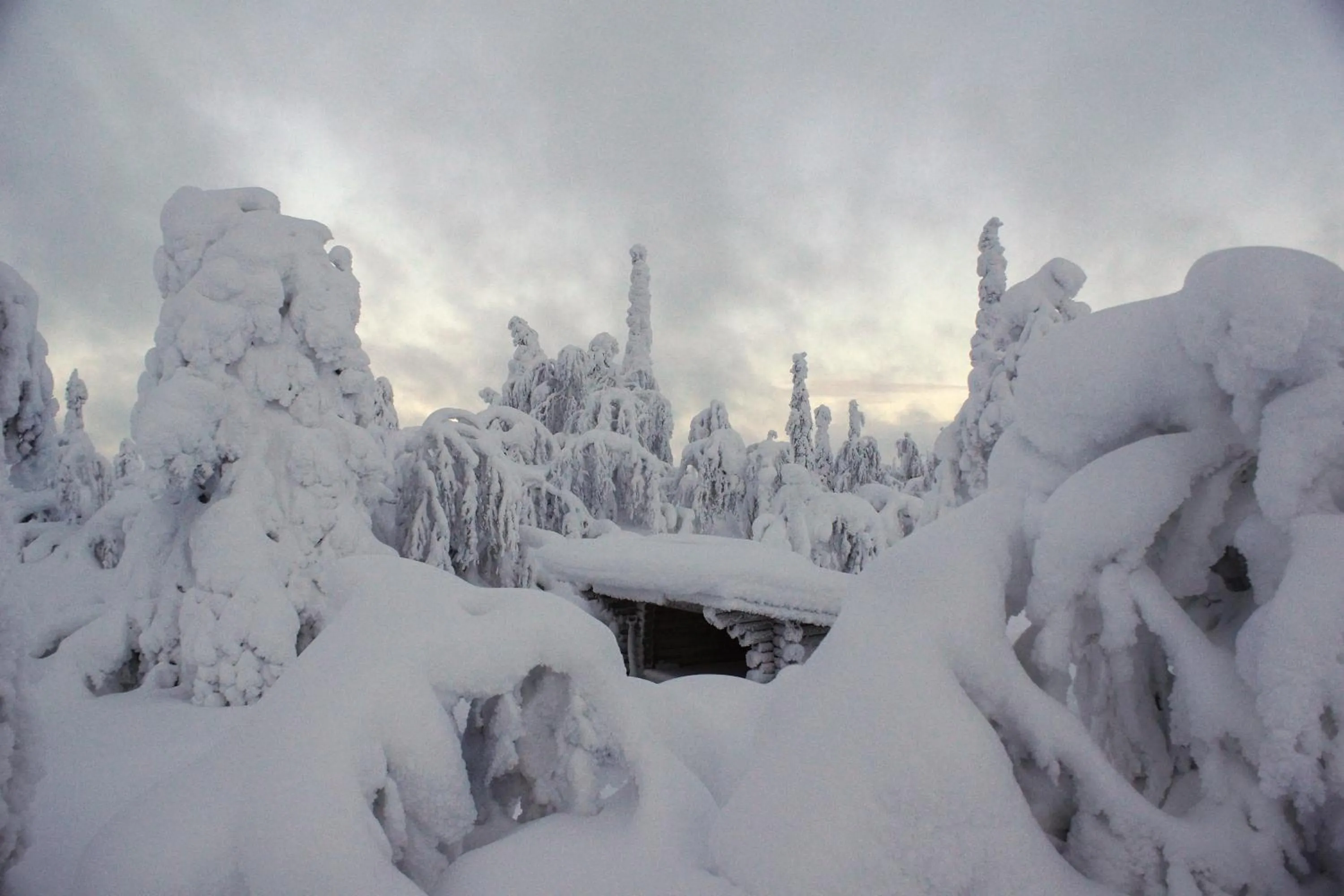 Neighbourhood in Tankavaara Gold Village