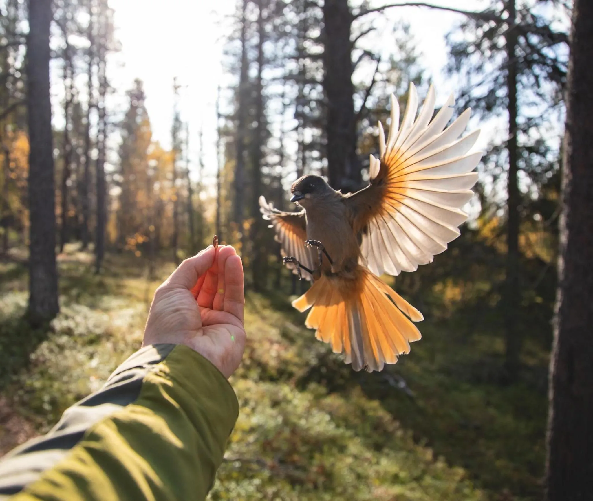 Activities in Tankavaara Gold Village