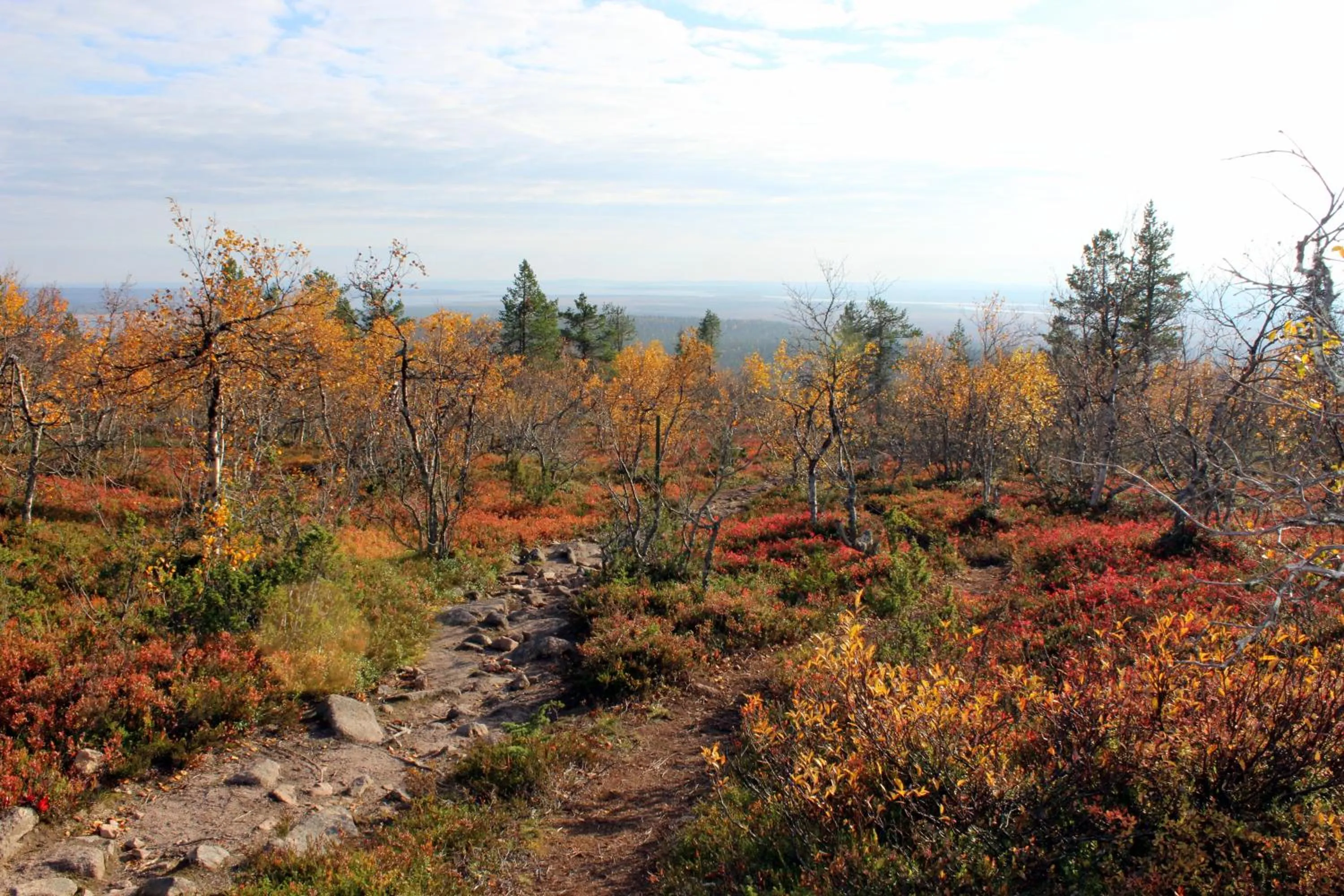Hiking in Tankavaara Gold Village