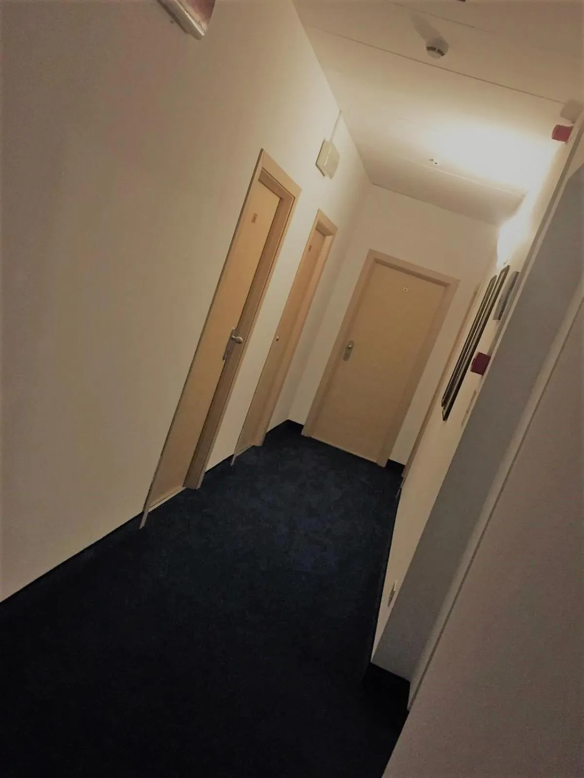 Other in Hotel Ausonia B&B RiMiNi