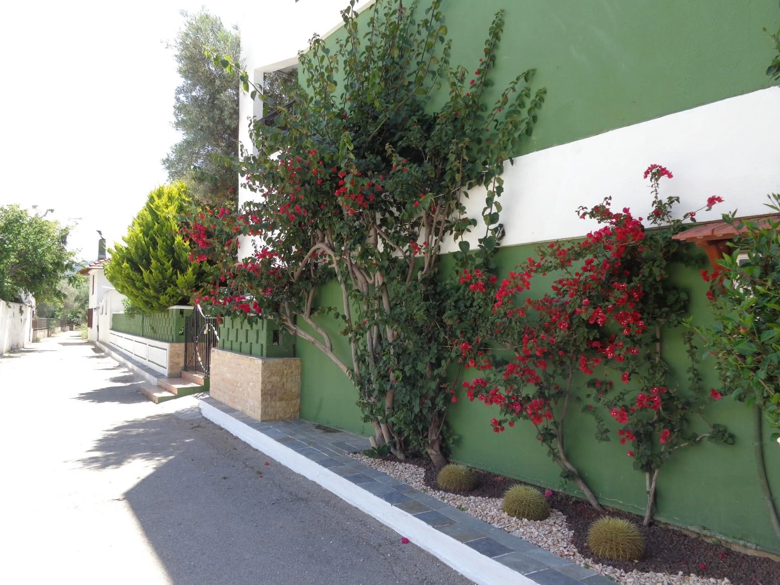 Facade/entrance in Terinikos Sunny Garden Hotel & Junior Suites New Renovation 2025