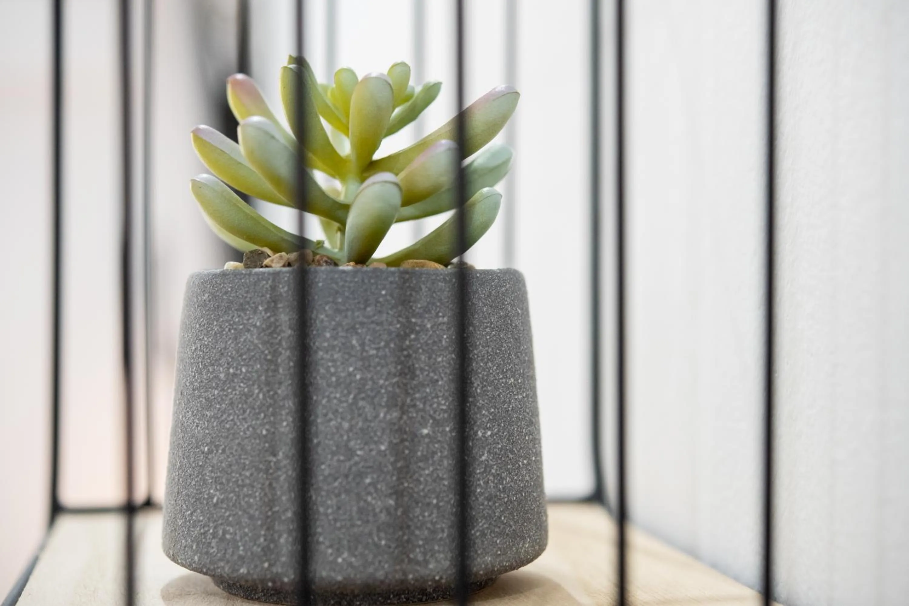 Terinikos Sunny Garden Hotel & Junior Suites New Renovation 2025