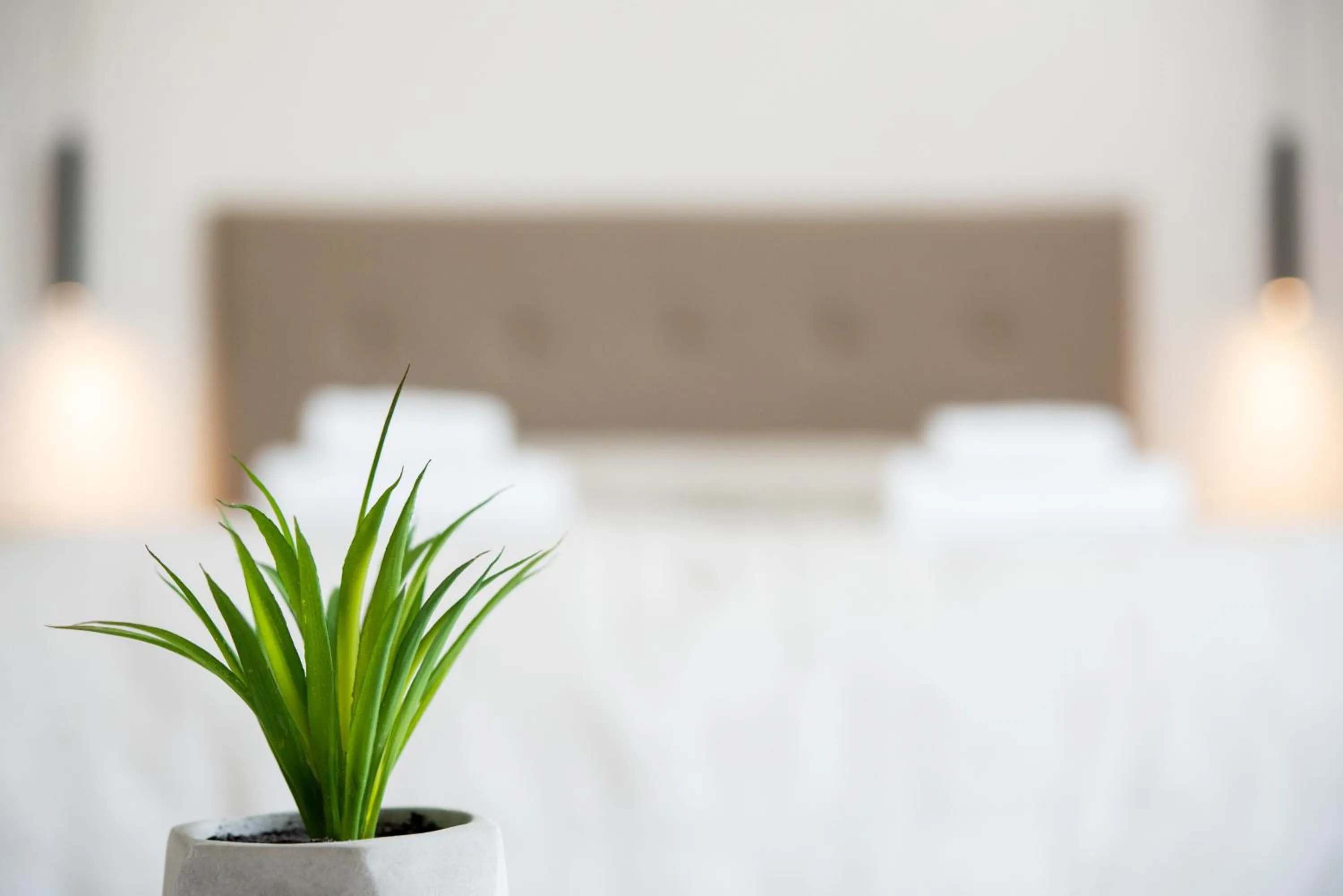 Bed in Terinikos Sunny Garden Hotel & Junior Suites New Renovation 2025