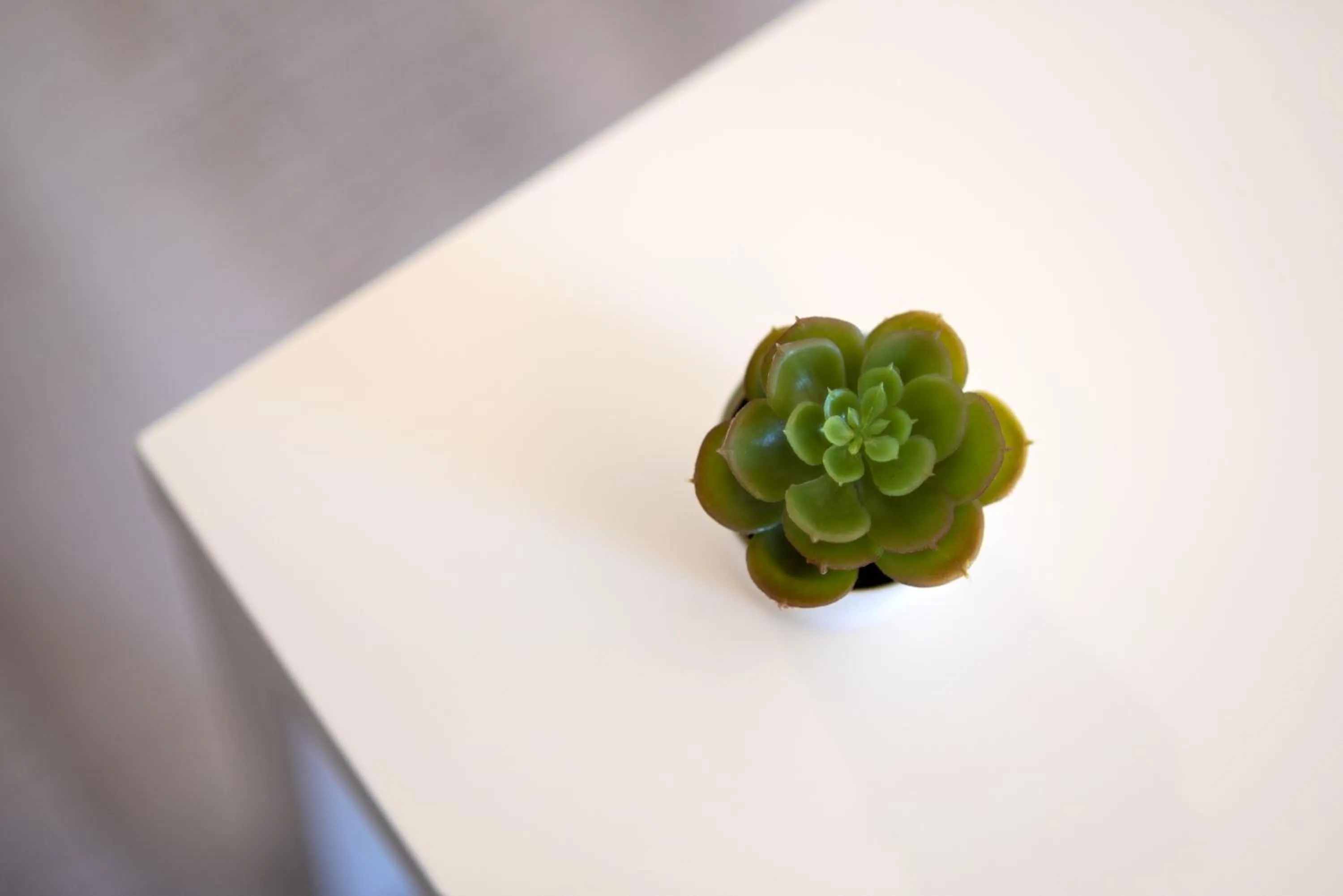 Decorative detail in Terinikos Sunny Garden Hotel & Junior Suites New Renovation 2025