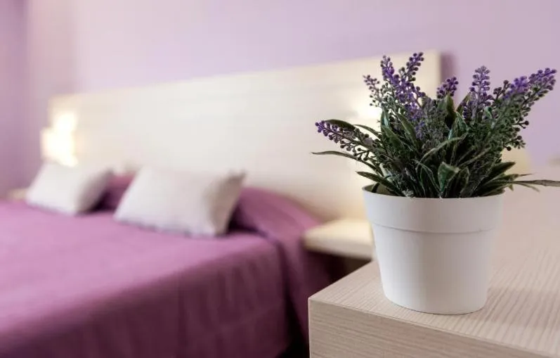 Bed in Terinikos Sunny Garden Hotel & Junior Suites New Renovation 2025