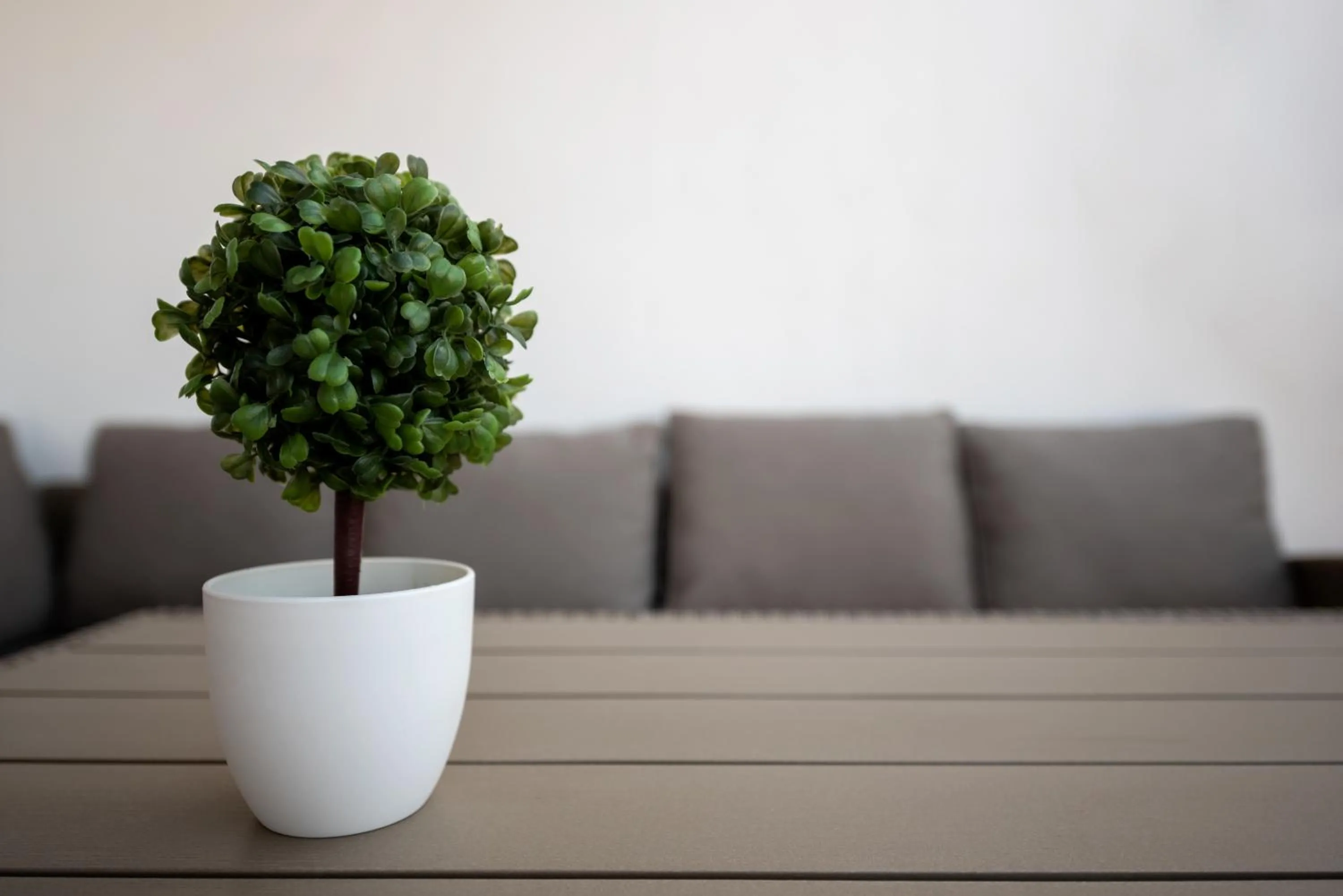 Balcony/Terrace in Terinikos Sunny Garden Hotel & Junior Suites New Renovation 2025