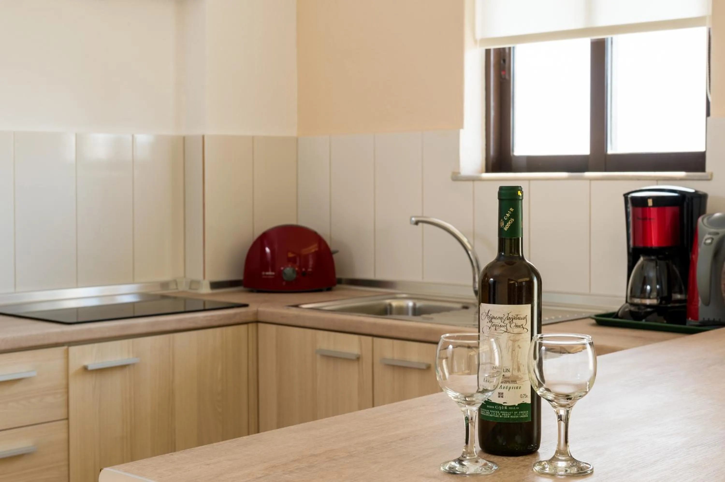 Kitchen or kitchenette in Terinikos Sunny Garden Hotel & Junior Suites New Renovation 2025