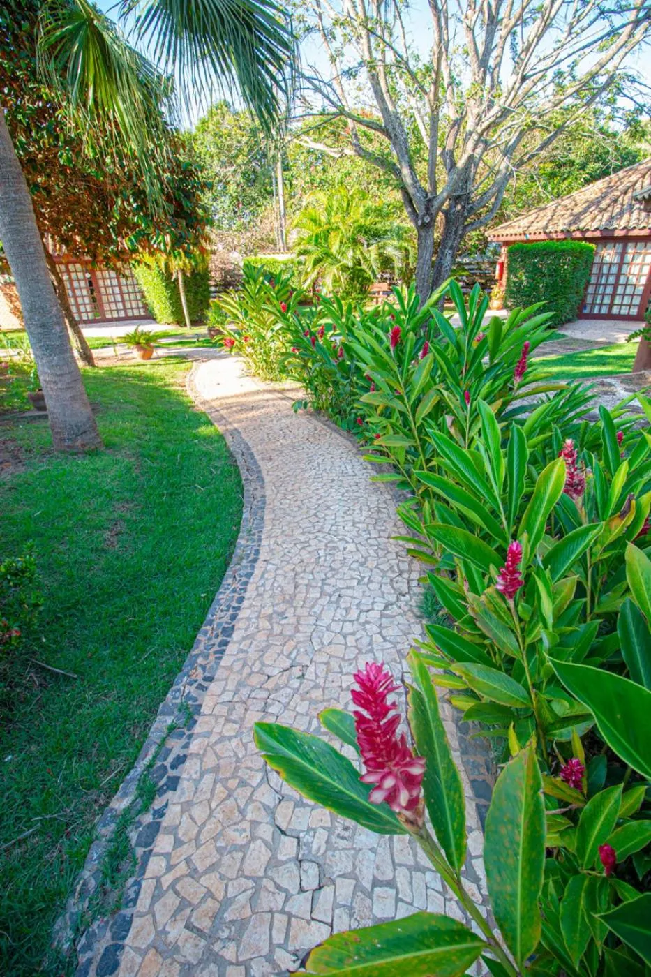 Garden in Hotel Pousada Arizona