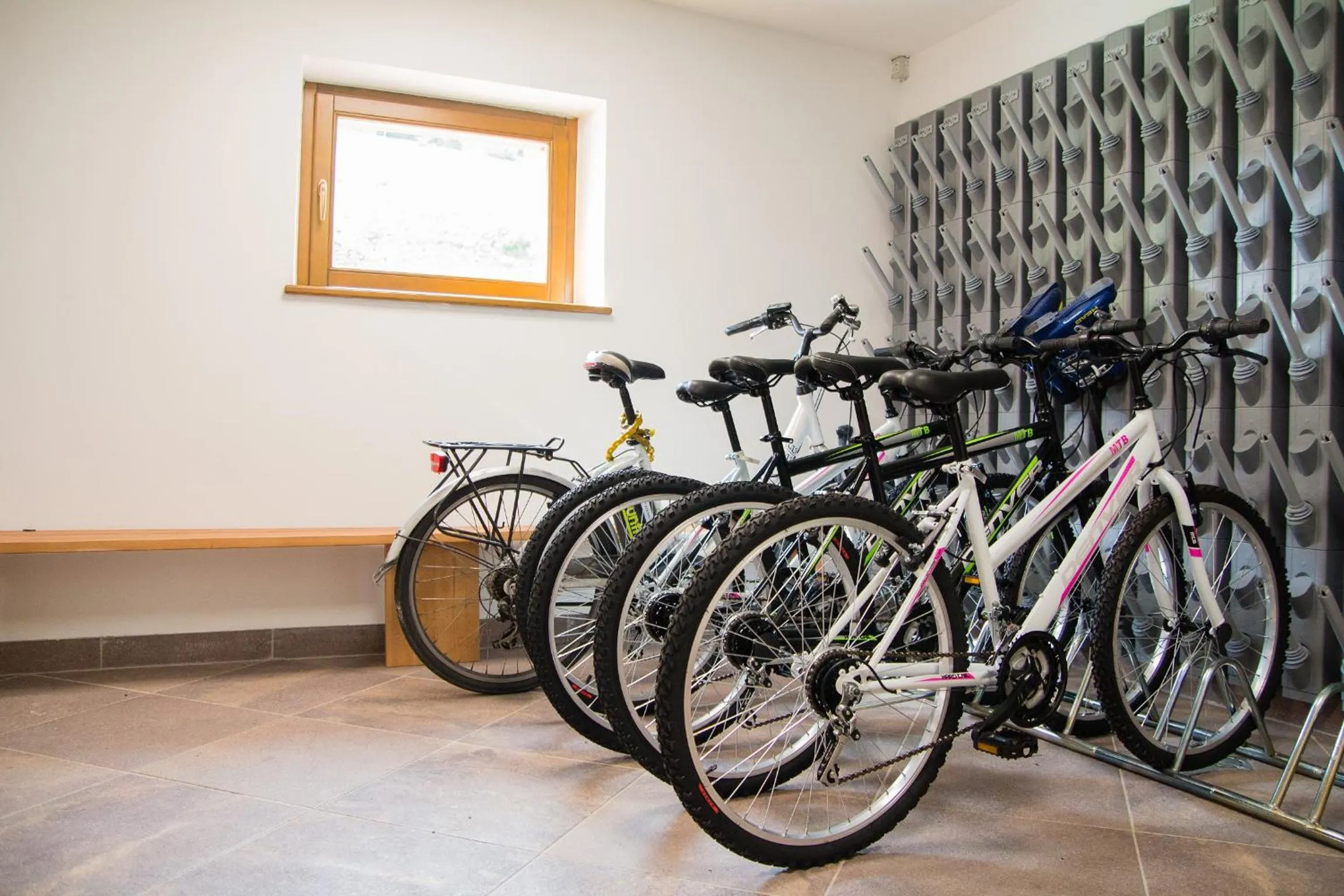 Area and facilities in GH Hotel Piaz