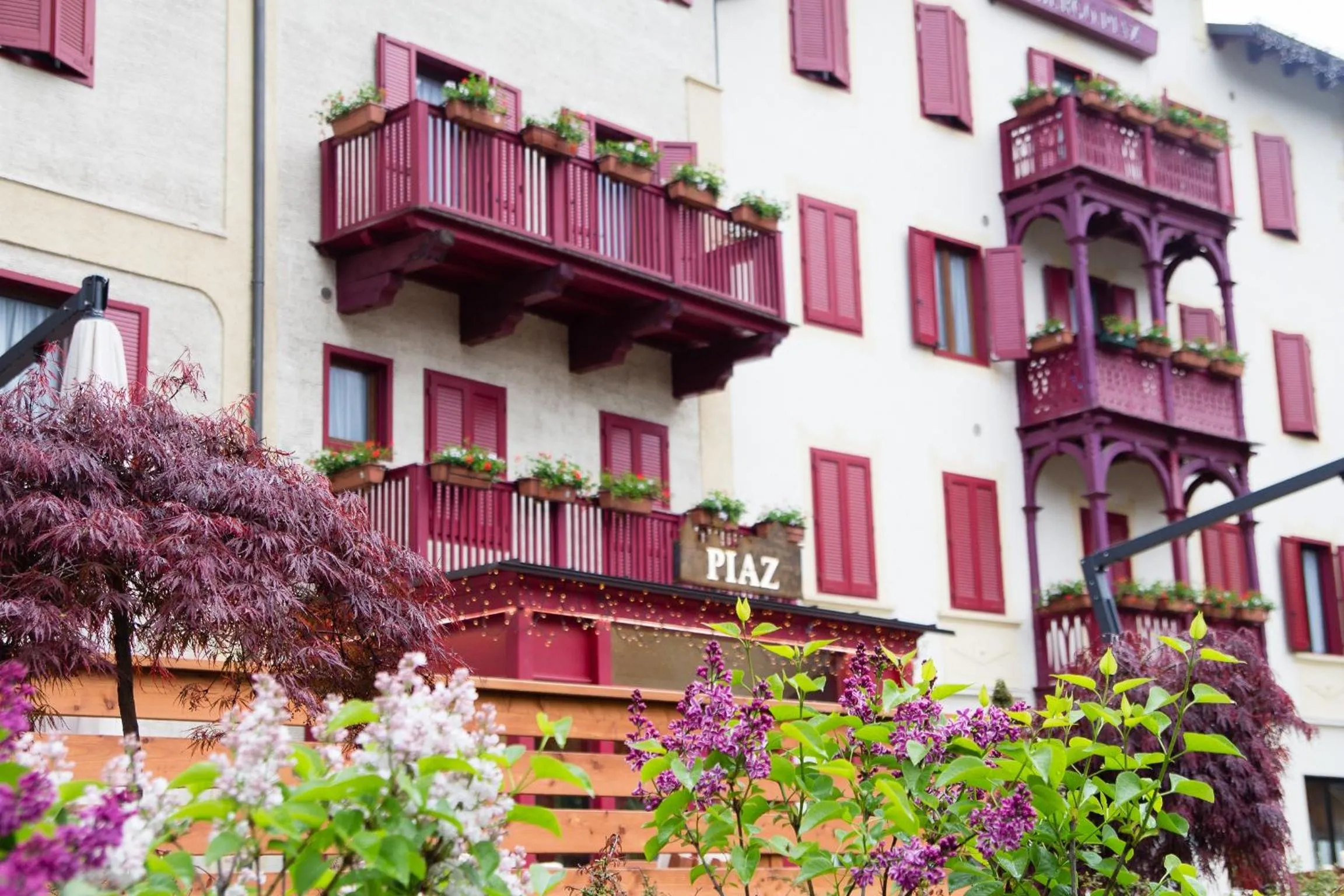 Garden view in GH Hotel Piaz