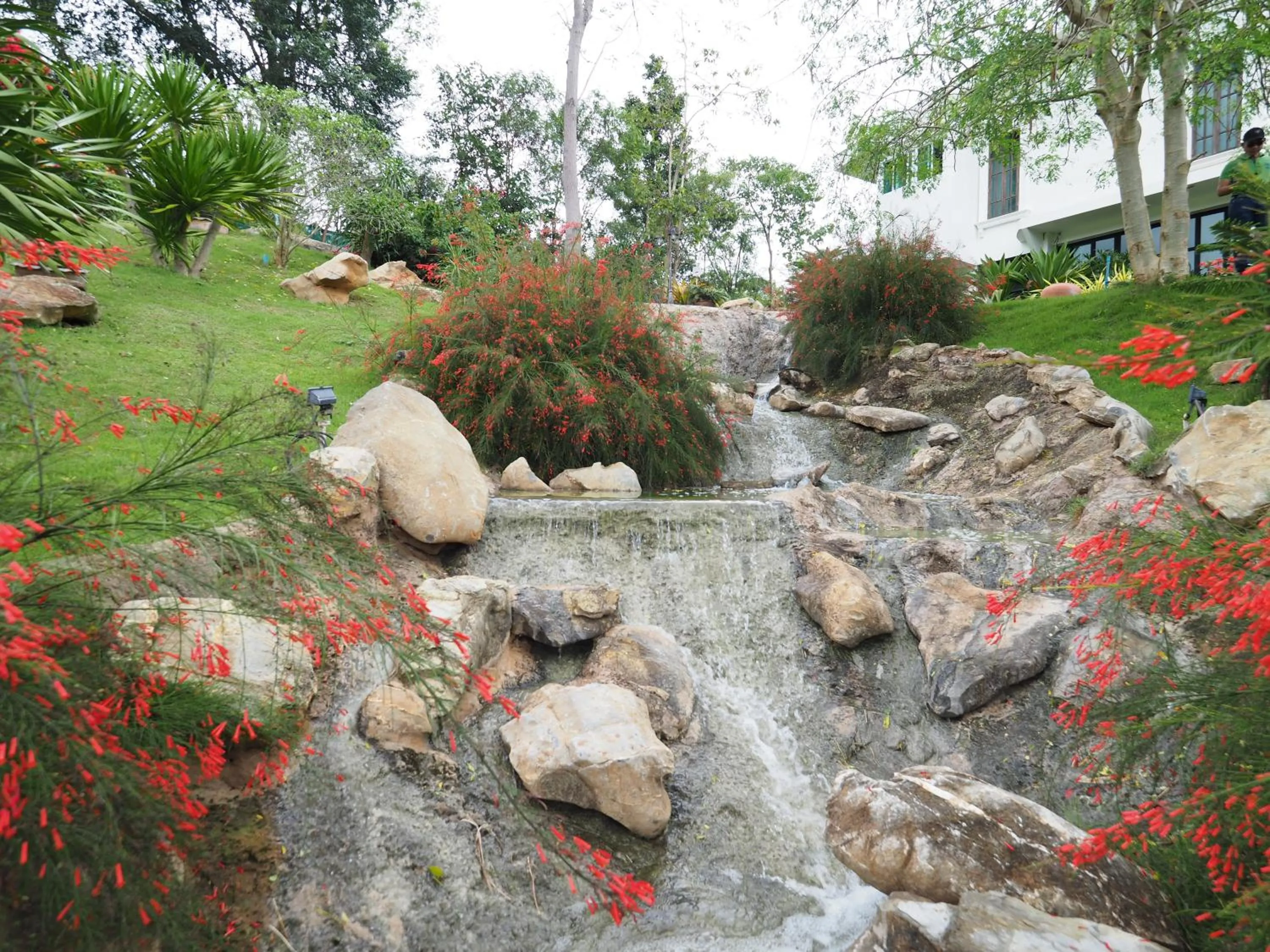 Garden in Baan Ing Khao