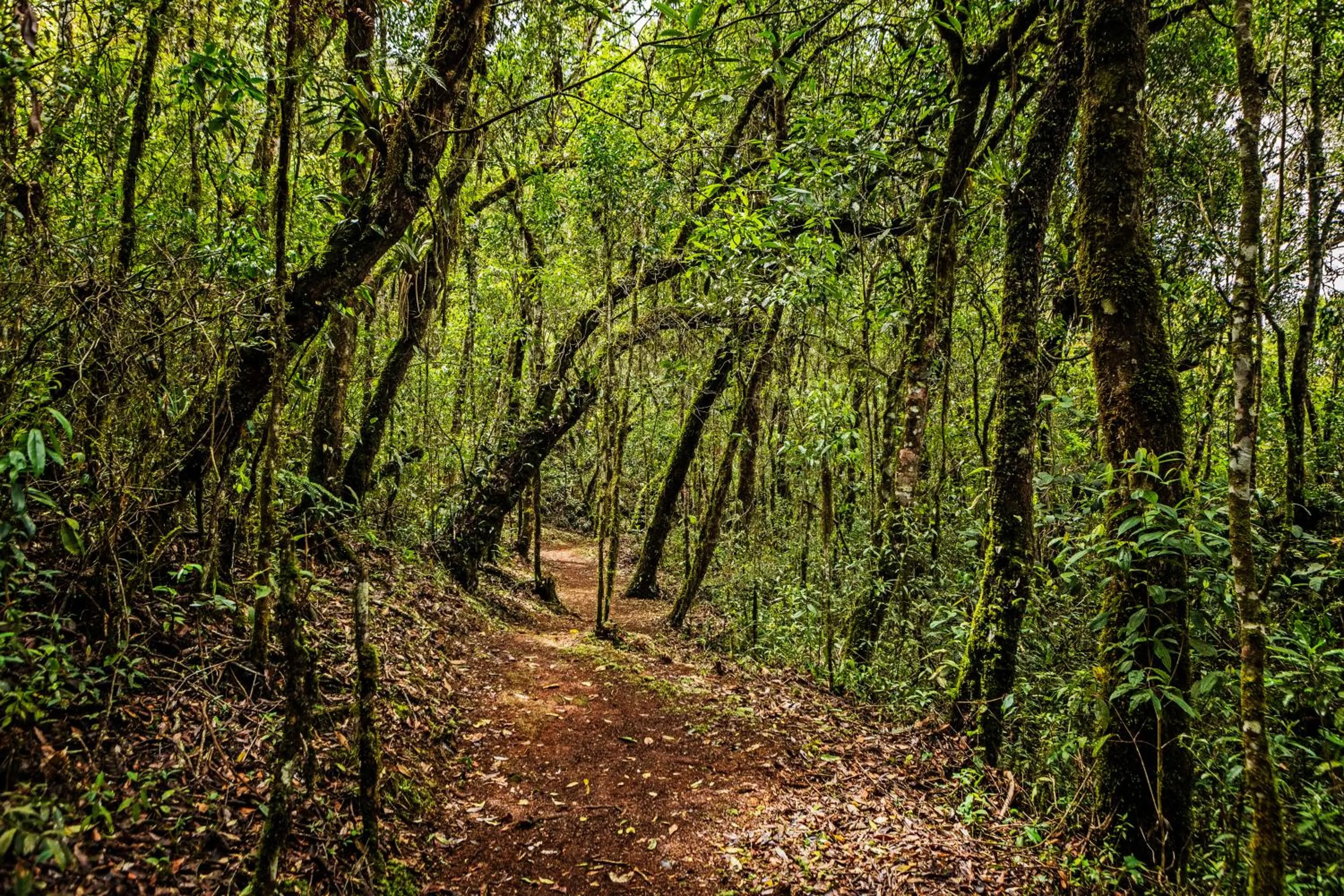 Hiking in Bendito Cacao Resort & Spa