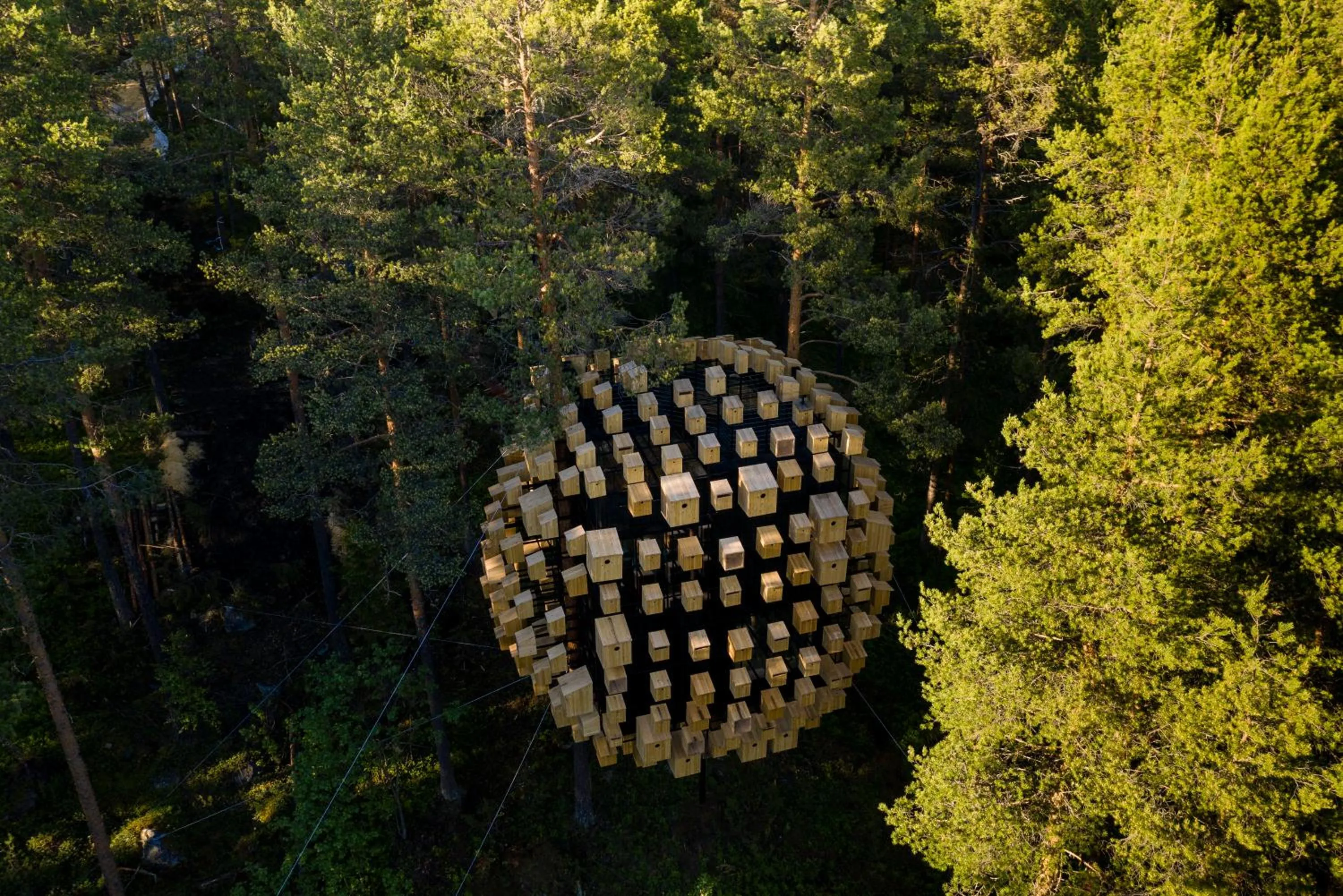 Location in Treehotel