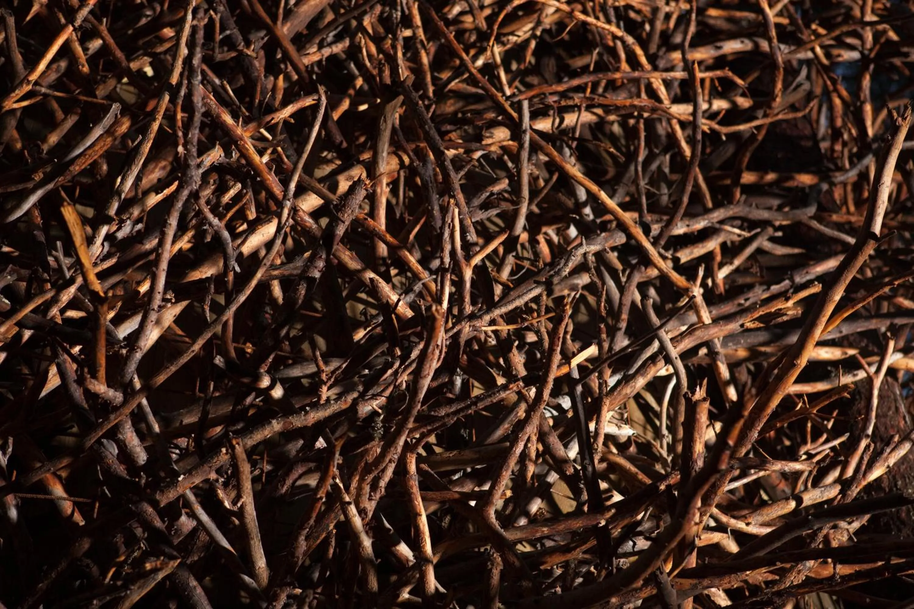 Decorative detail in Treehotel