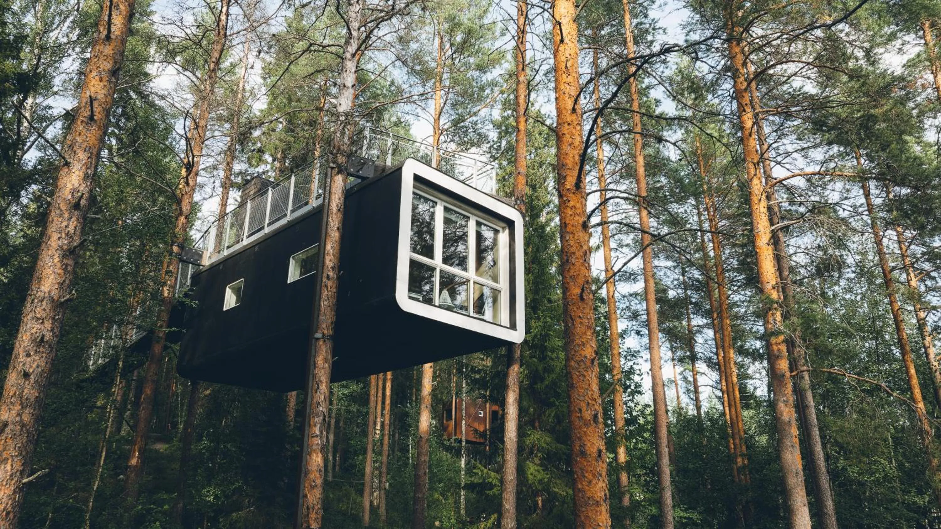 Property building in Treehotel