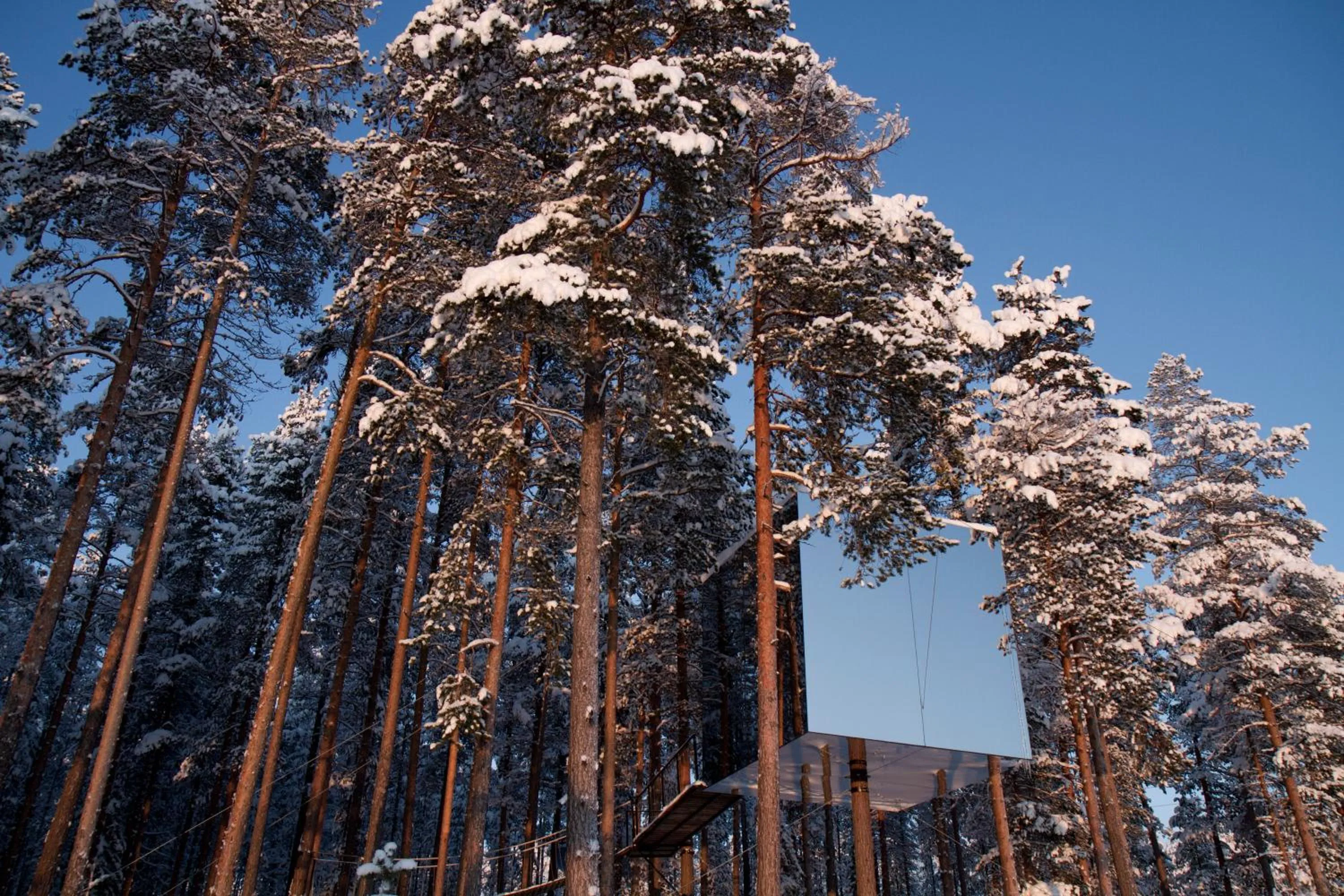 Facade/entrance in Treehotel