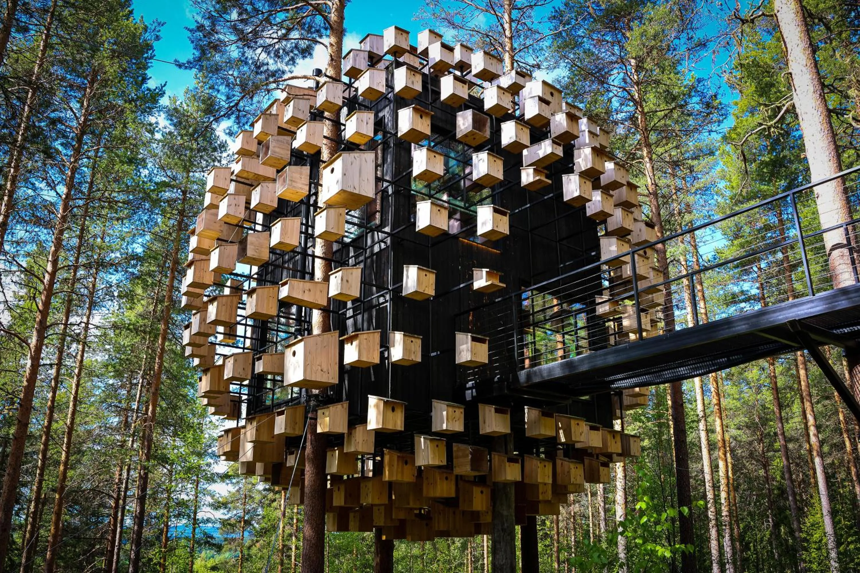 Day in Treehotel