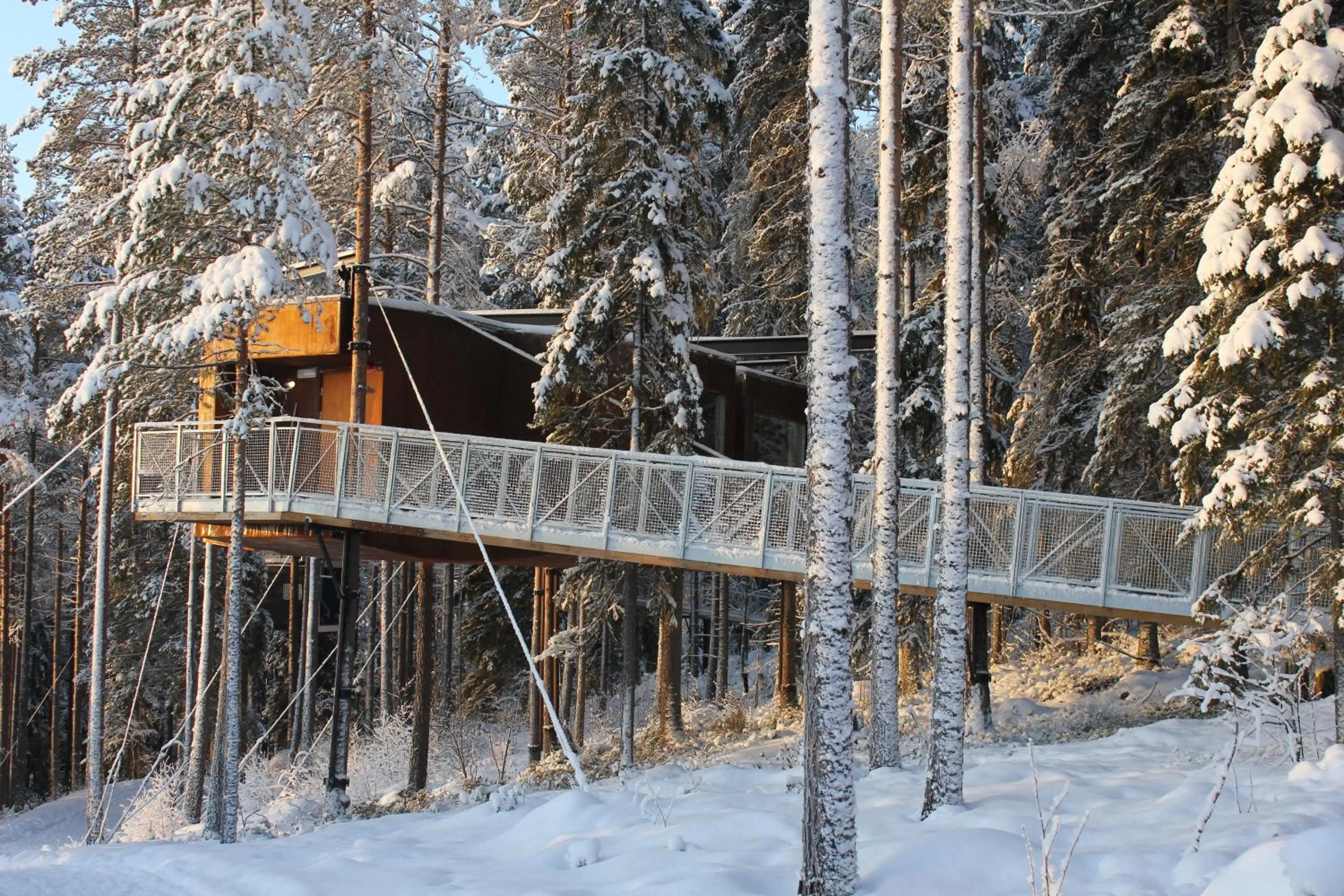 Winter in Treehotel