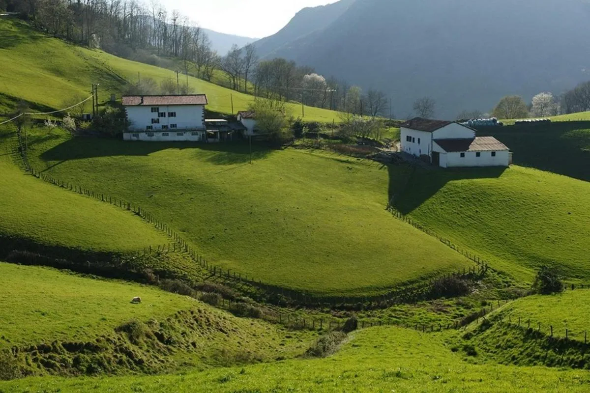 Natural landscape in Hostal Rural Irigoienea