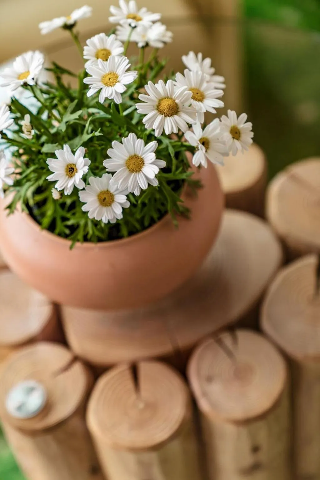 Bathroom in Hartweger's Hotel
