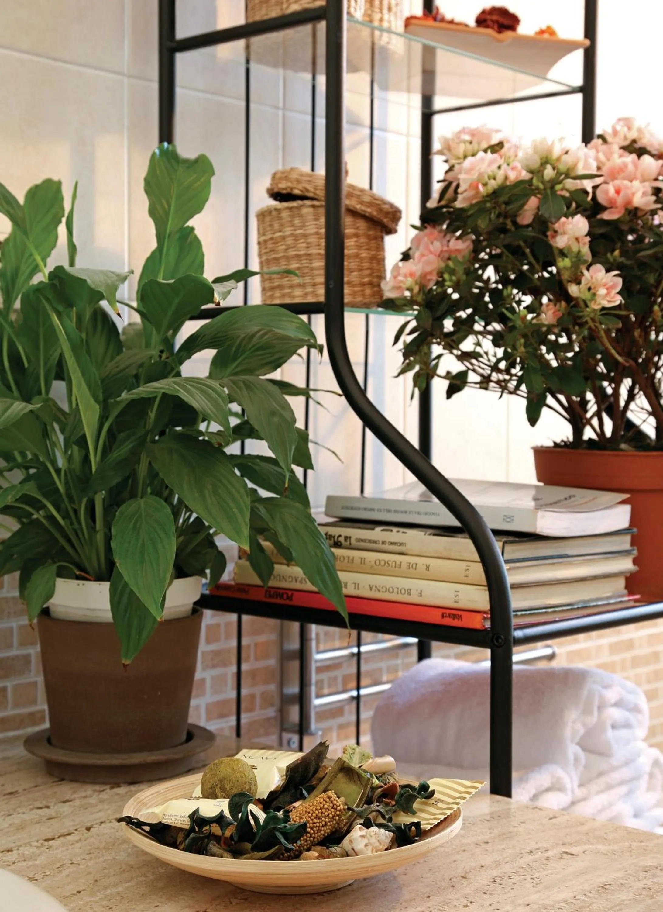 Other in B&B Luna Caprese