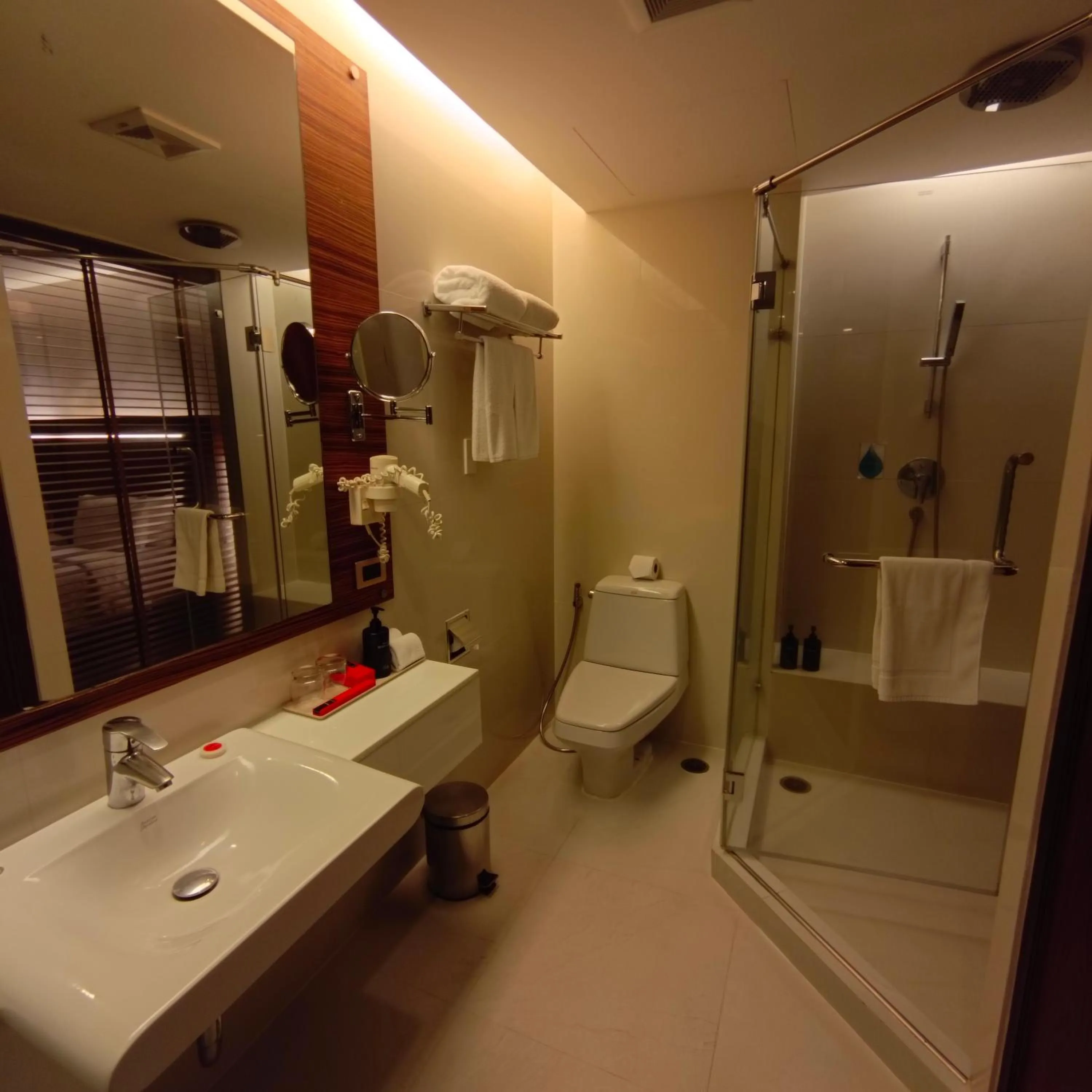 Shower in Sacha's Hotel Uno