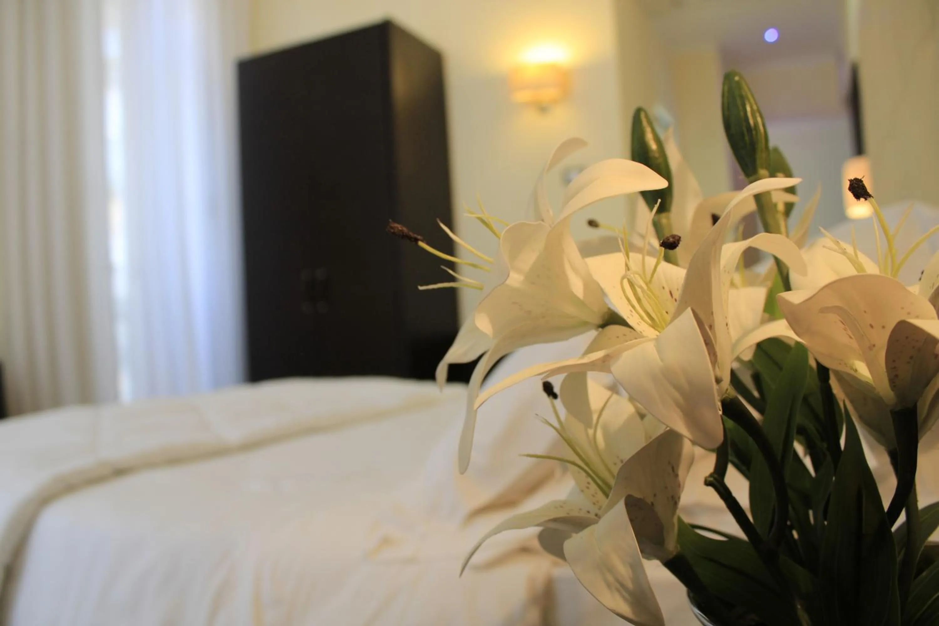 Animals in Hotel Ferdinando II