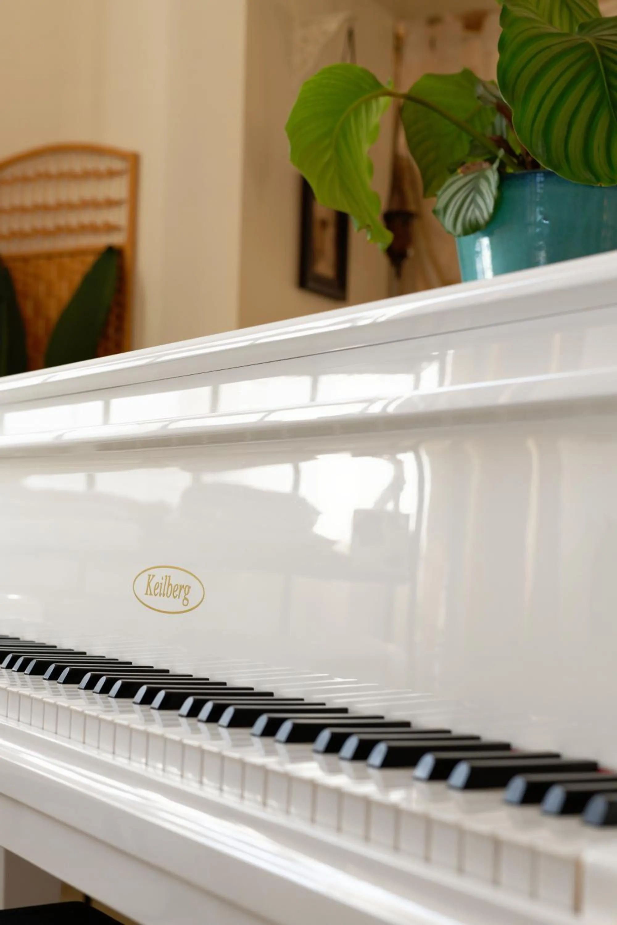 Area and facilities in The Corner Properties