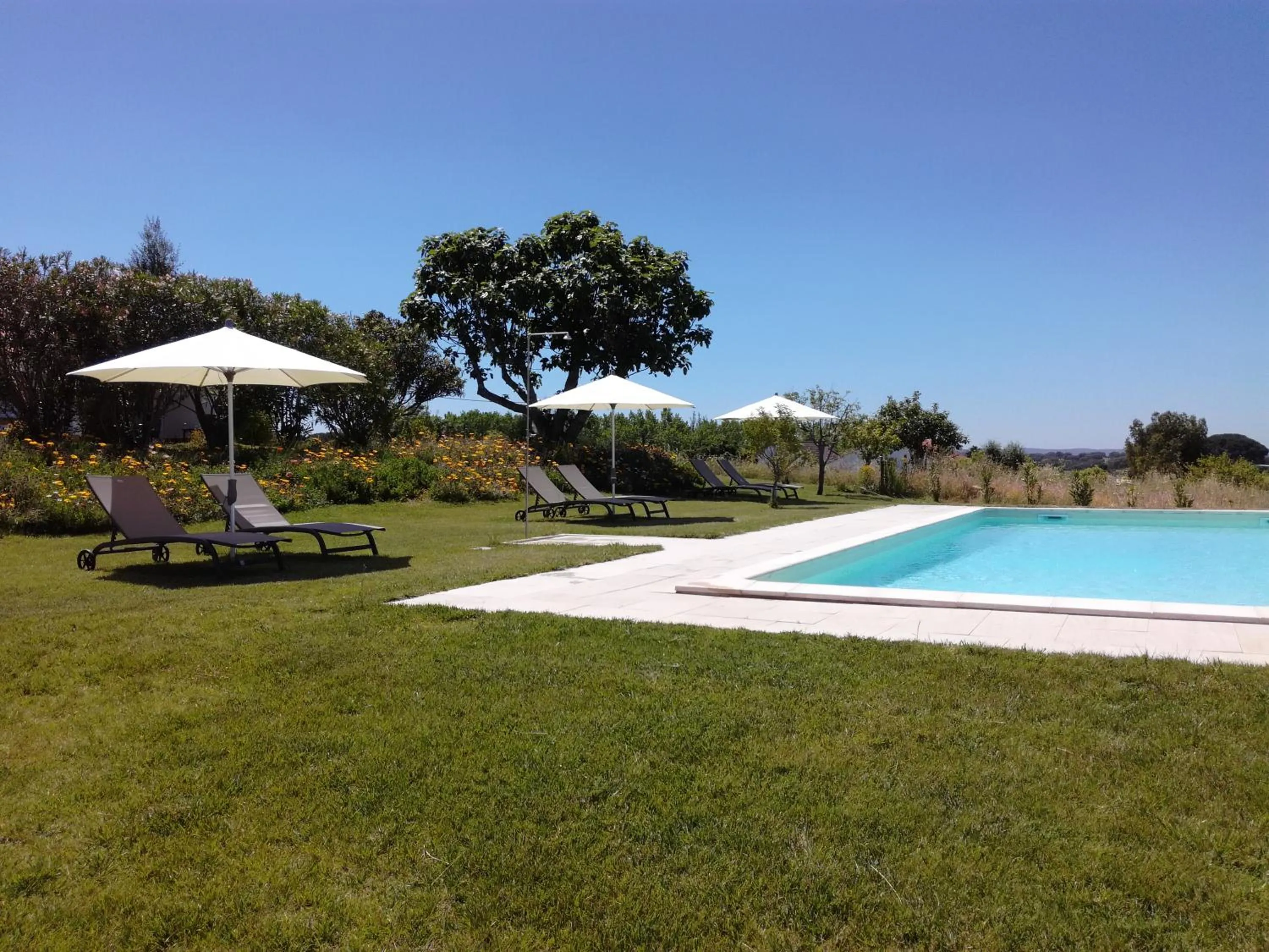 Swimming pool in MirArte