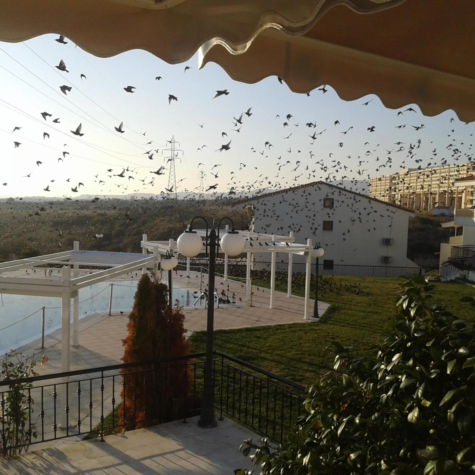 Day in Bell Air Hotel