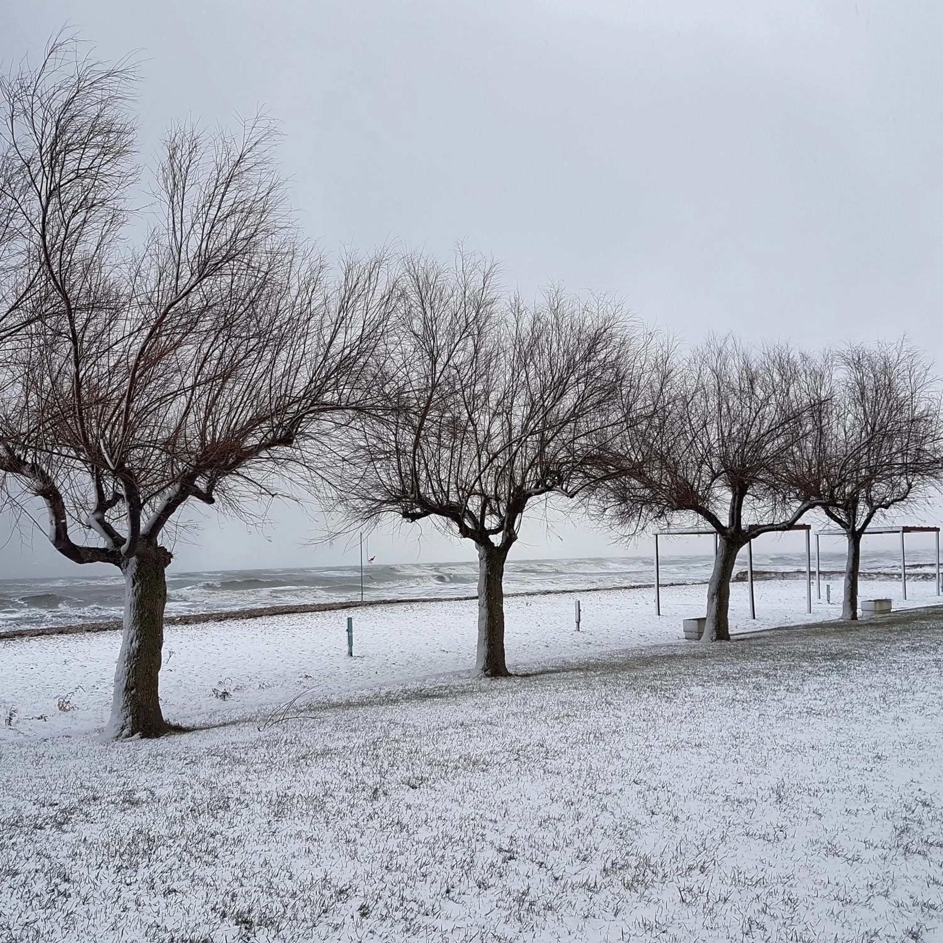 Natural landscape in Home Sweet Home