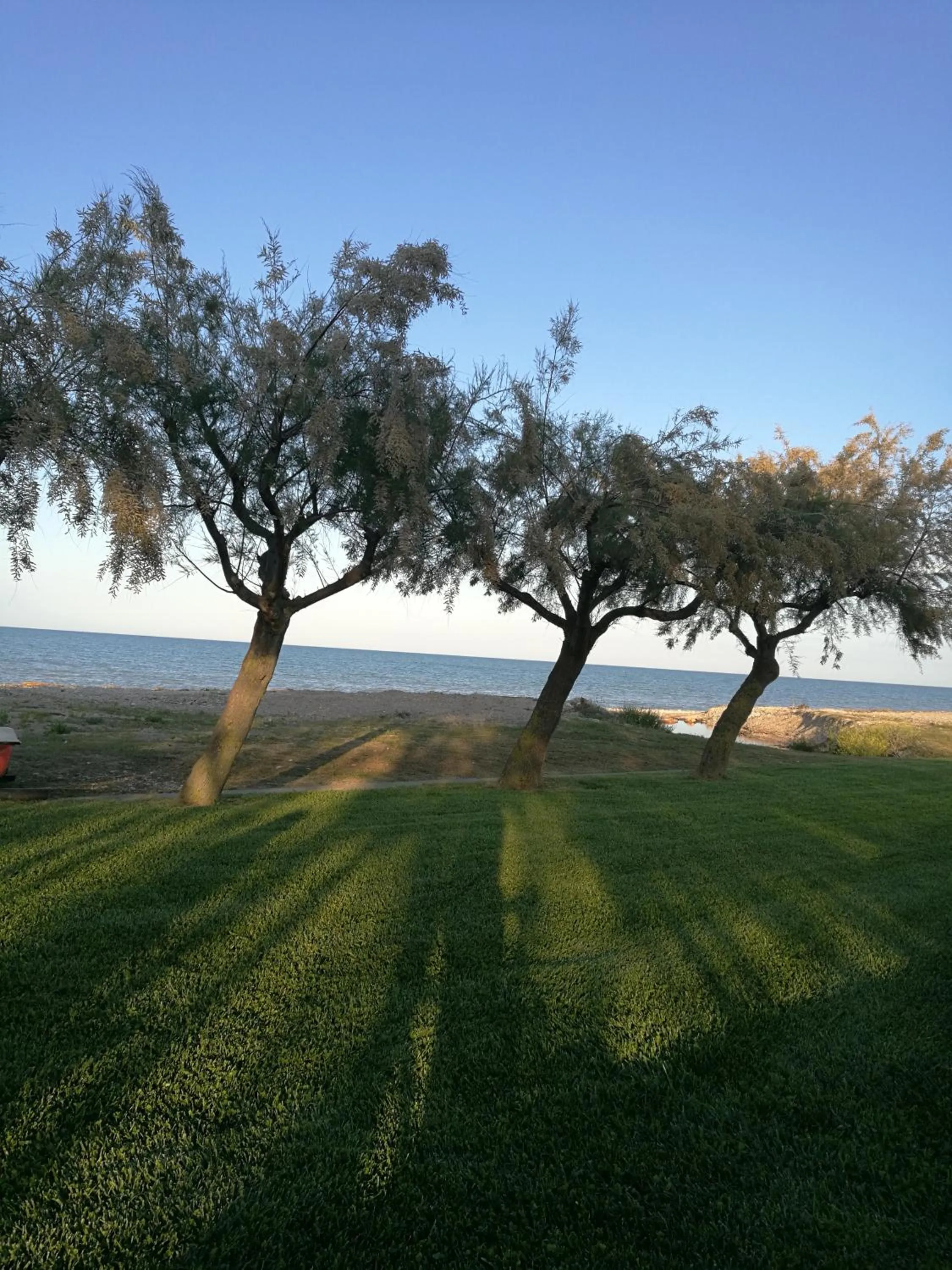 Spring in Home Sweet Home