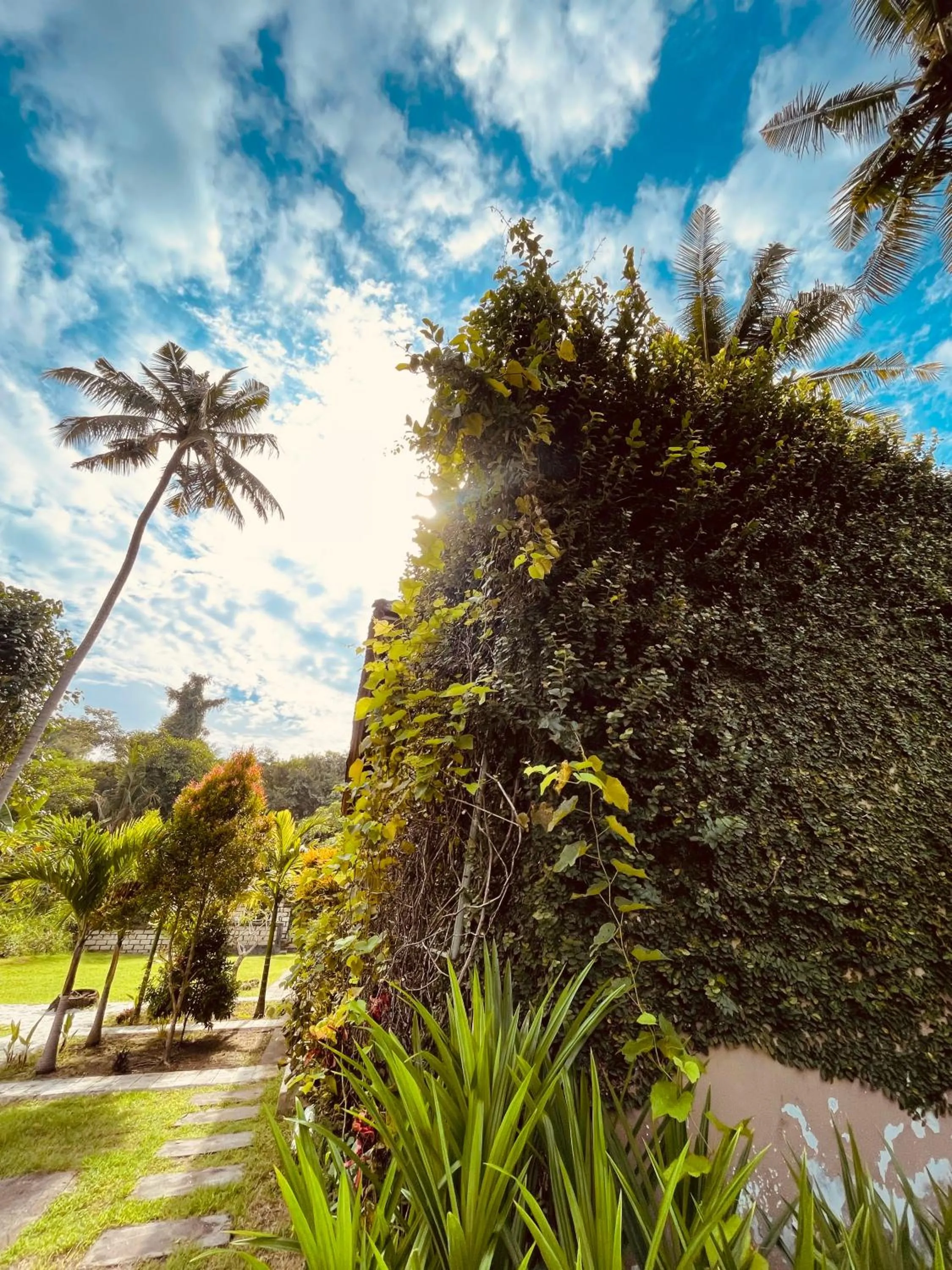 Garden in Apit Lawang Villas & Resto