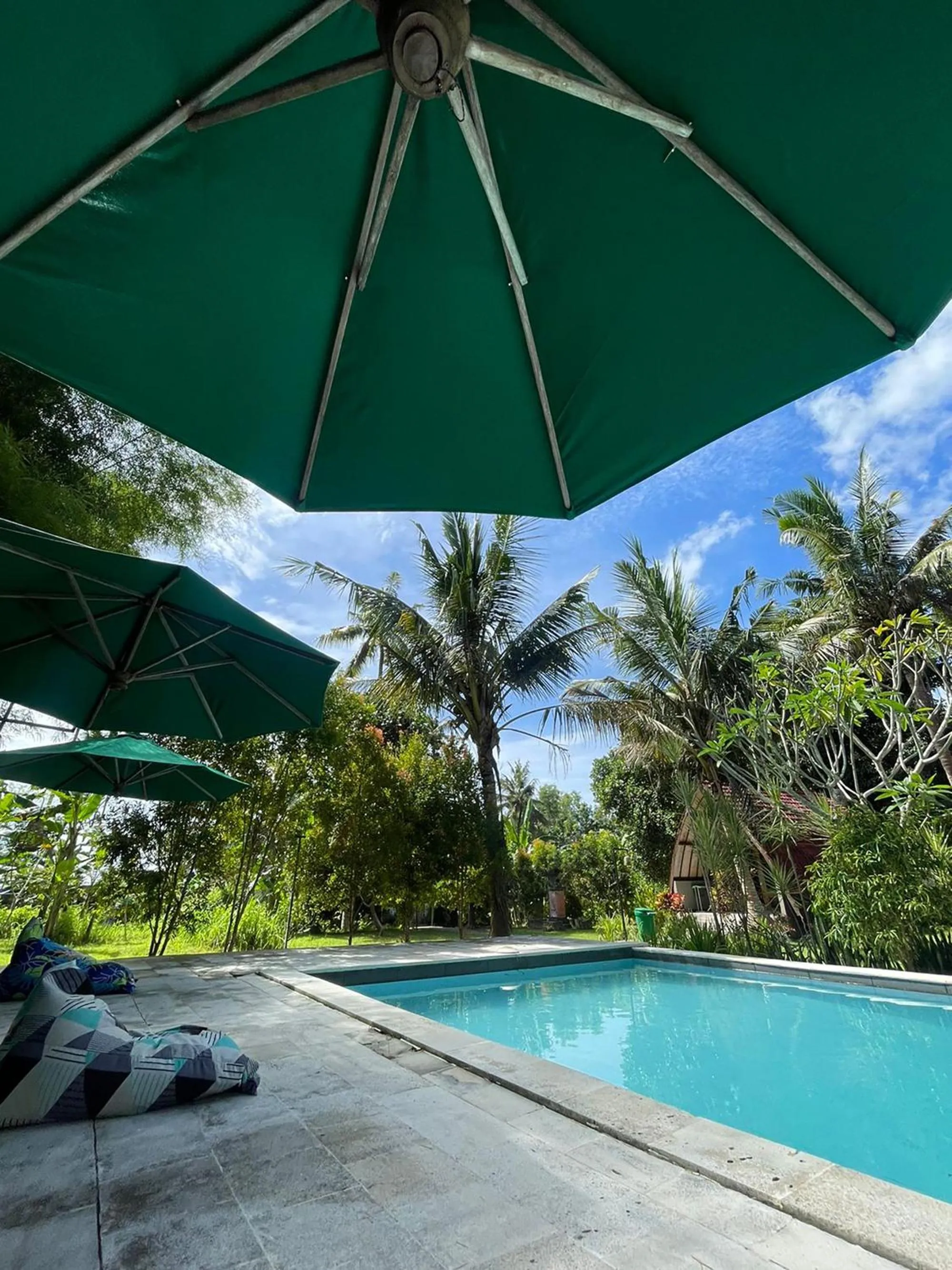 Pool view in Apit Lawang Villas & Resto