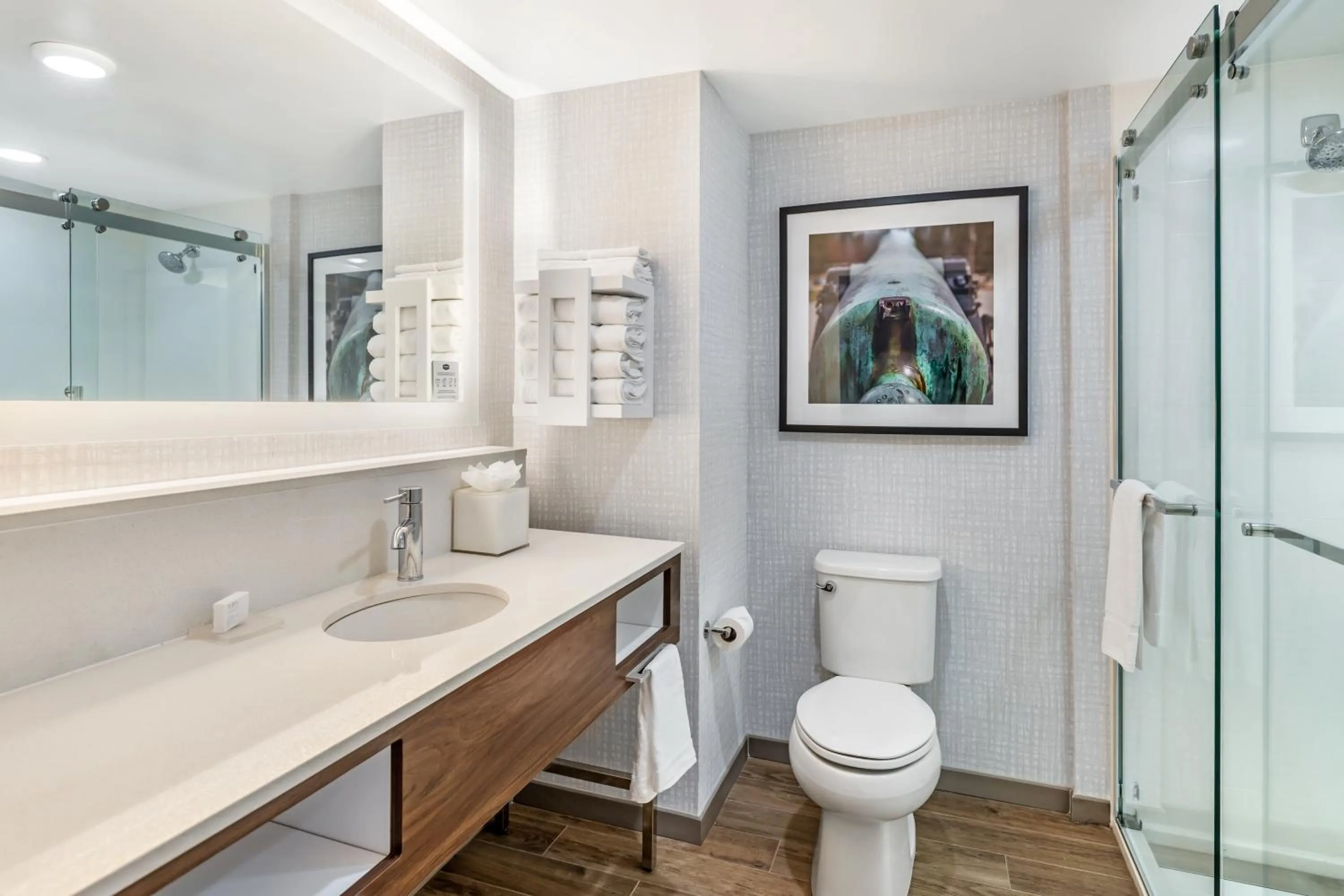 Shower in Hampton Inn Petersburg-Fort Lee