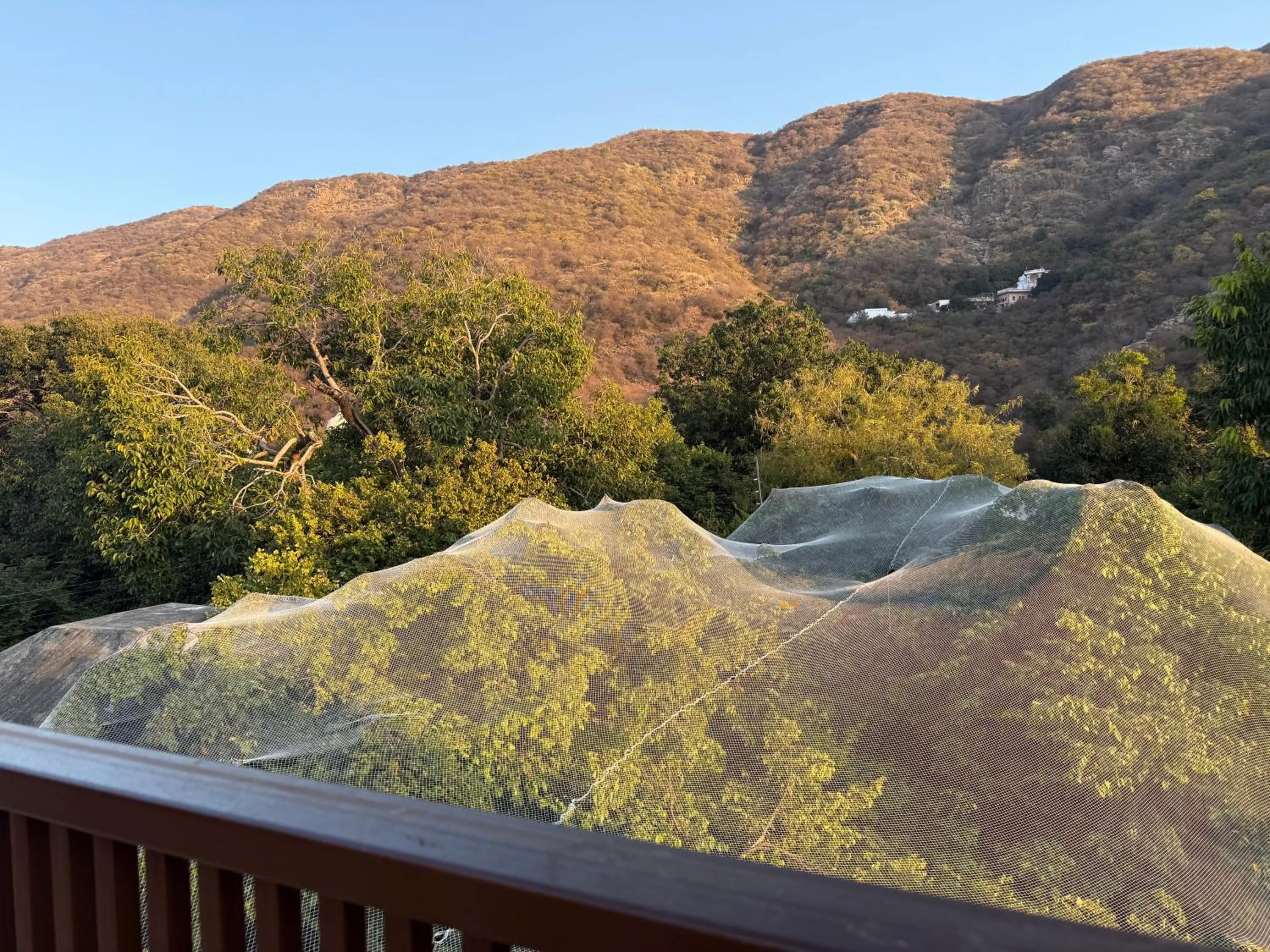 Hotel Green Heaven Resort