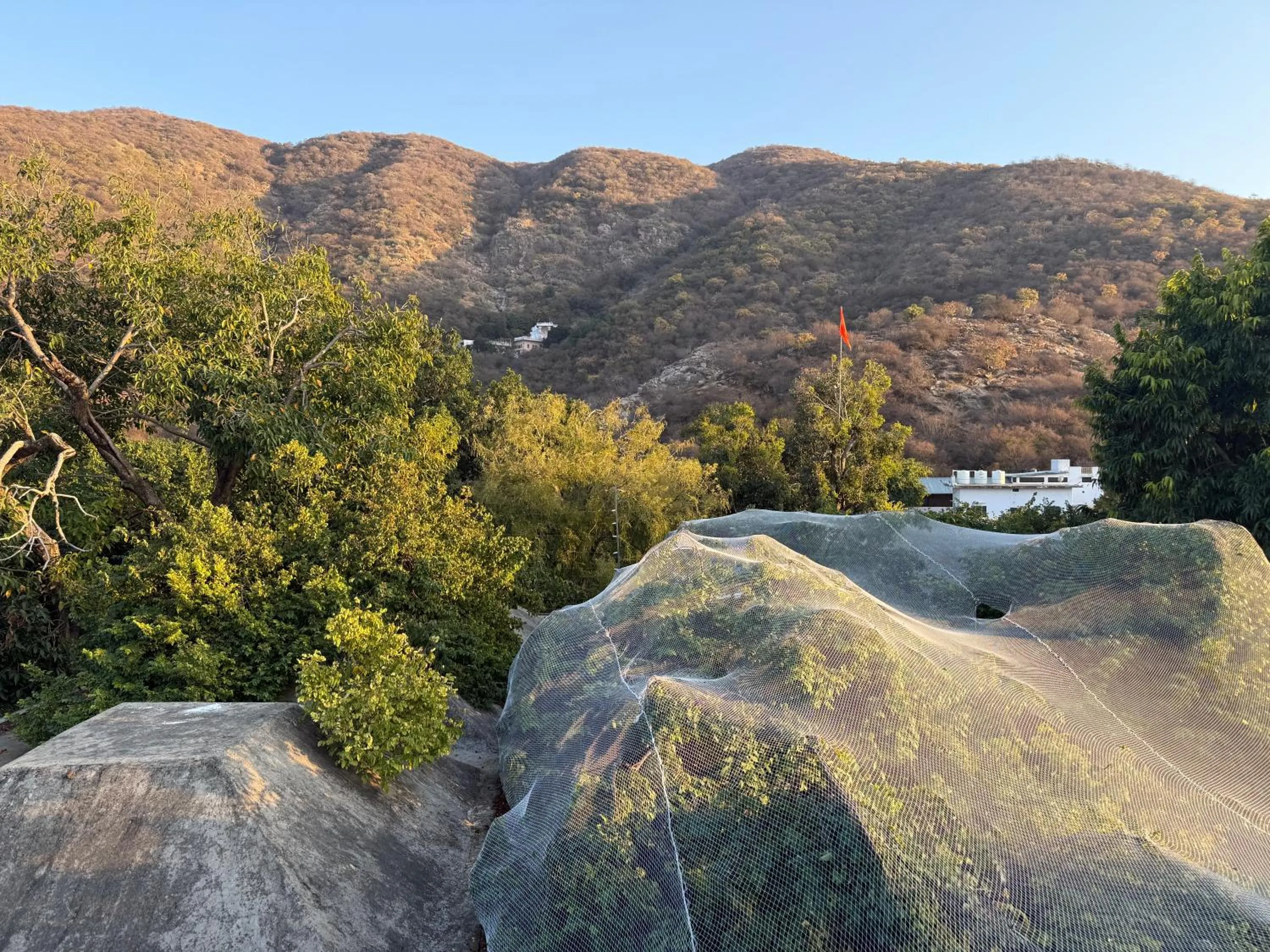 Hotel Green Heaven Resort