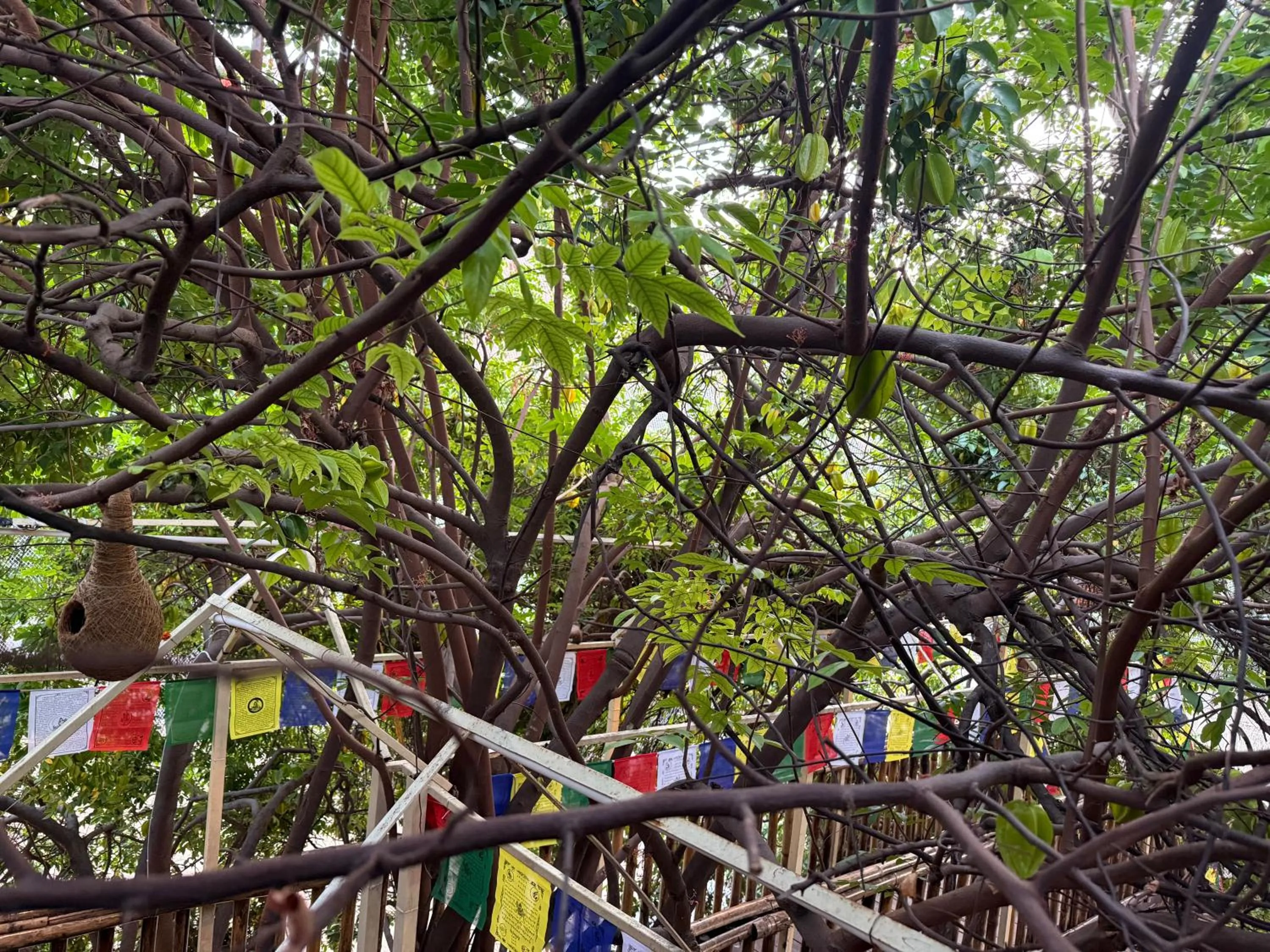 Hotel Green Heaven Resort