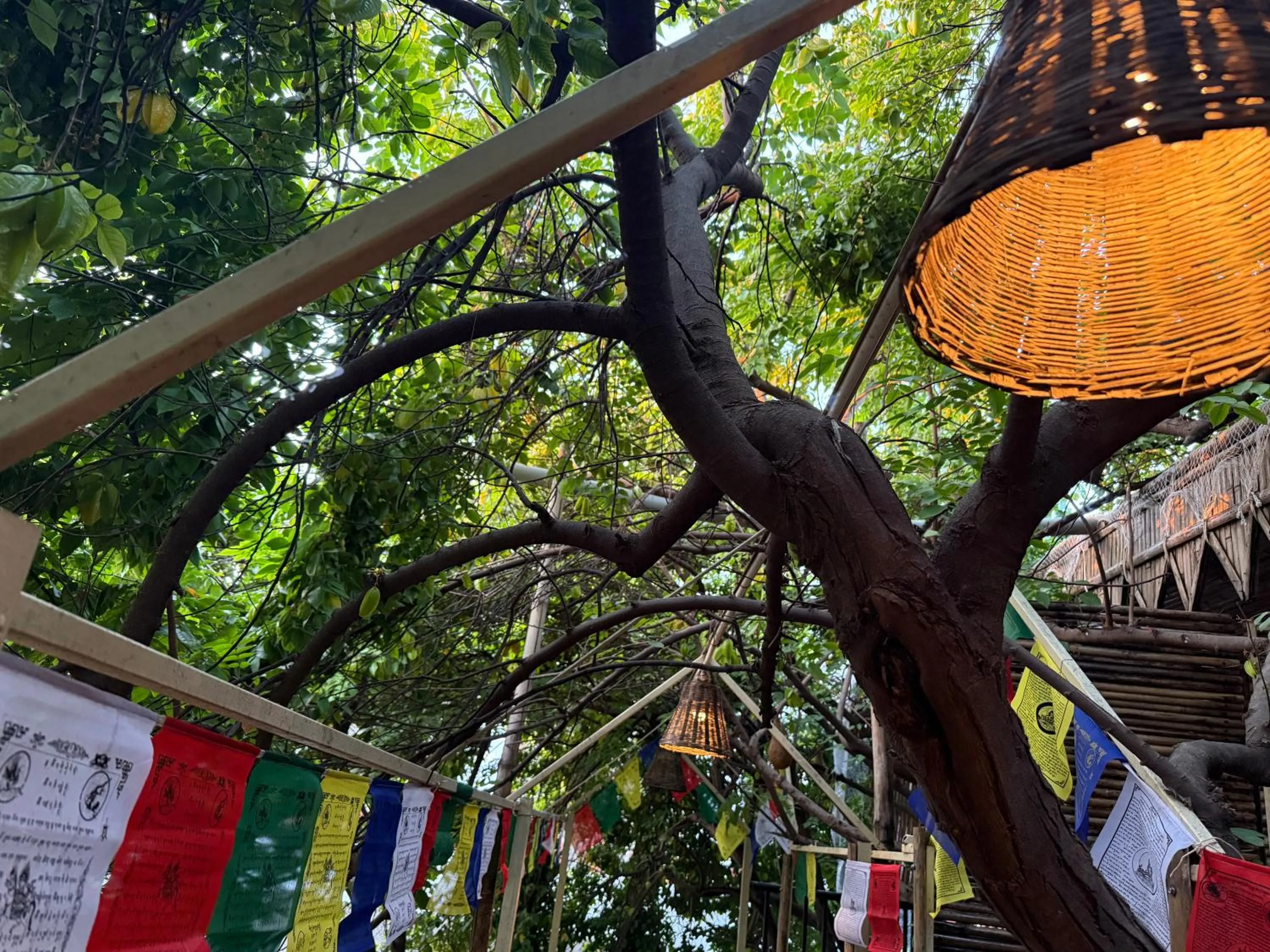 Hotel Green Heaven Resort