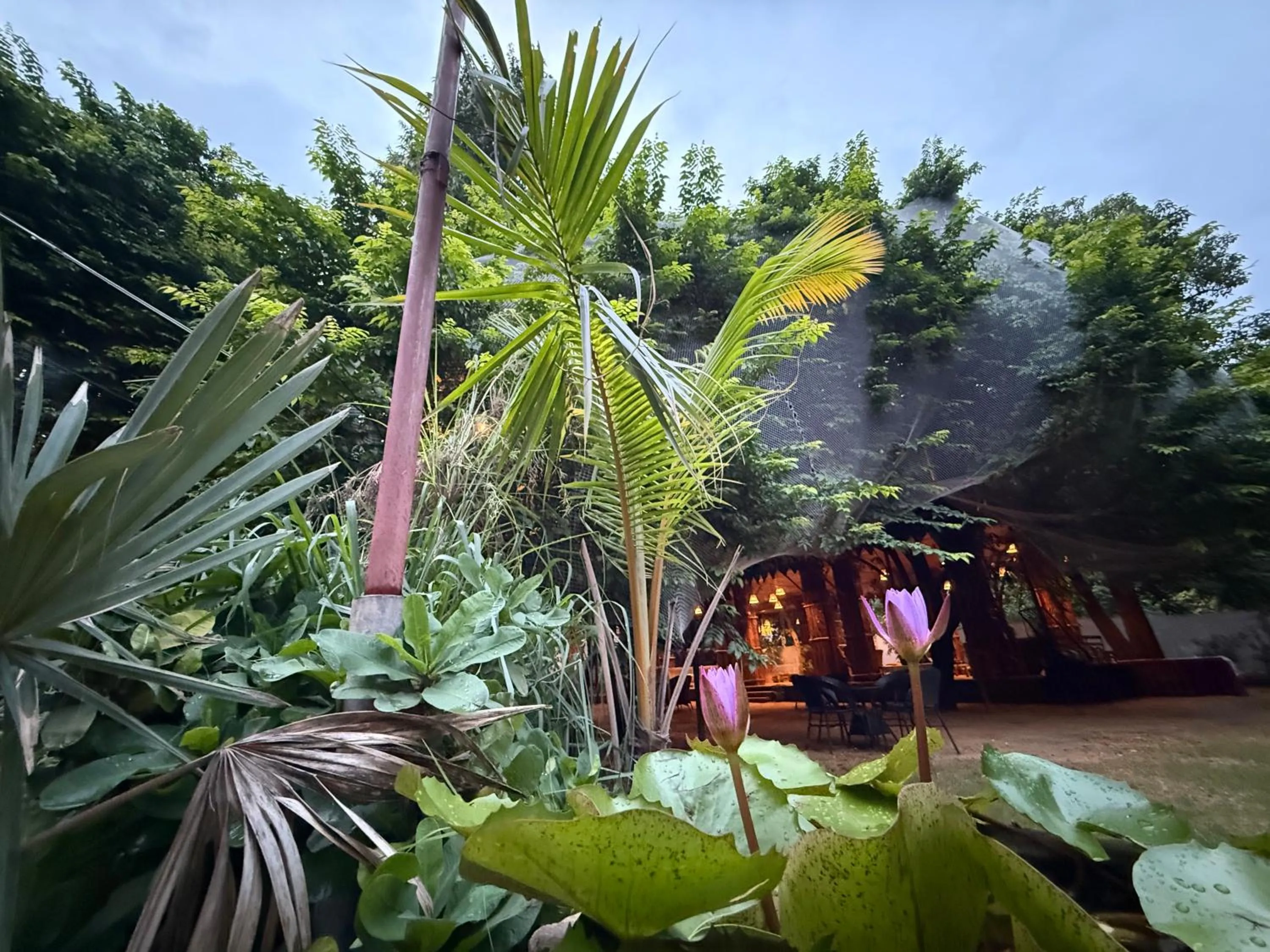 Hotel Green Heaven Resort