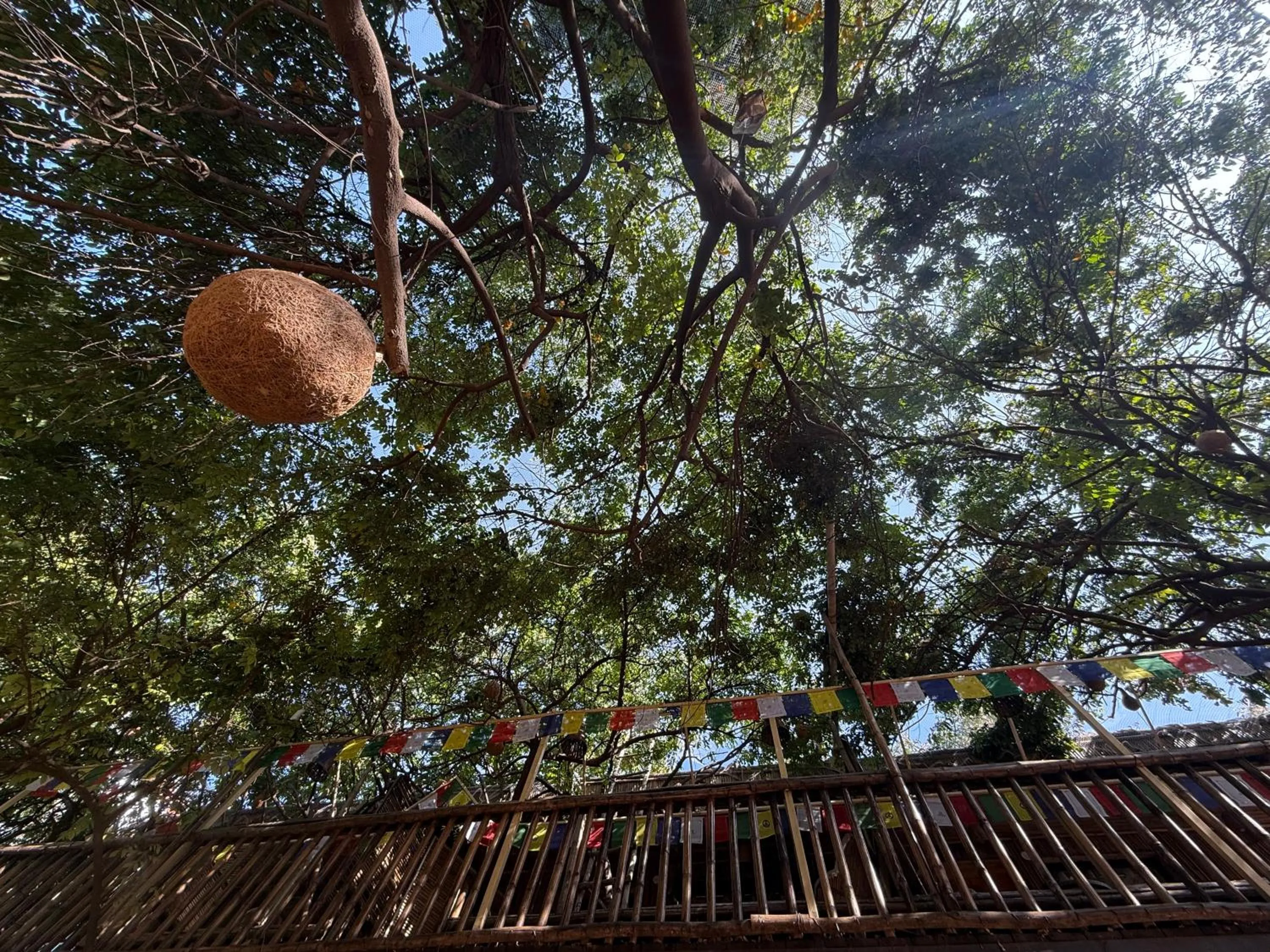 Hotel Green Heaven Resort