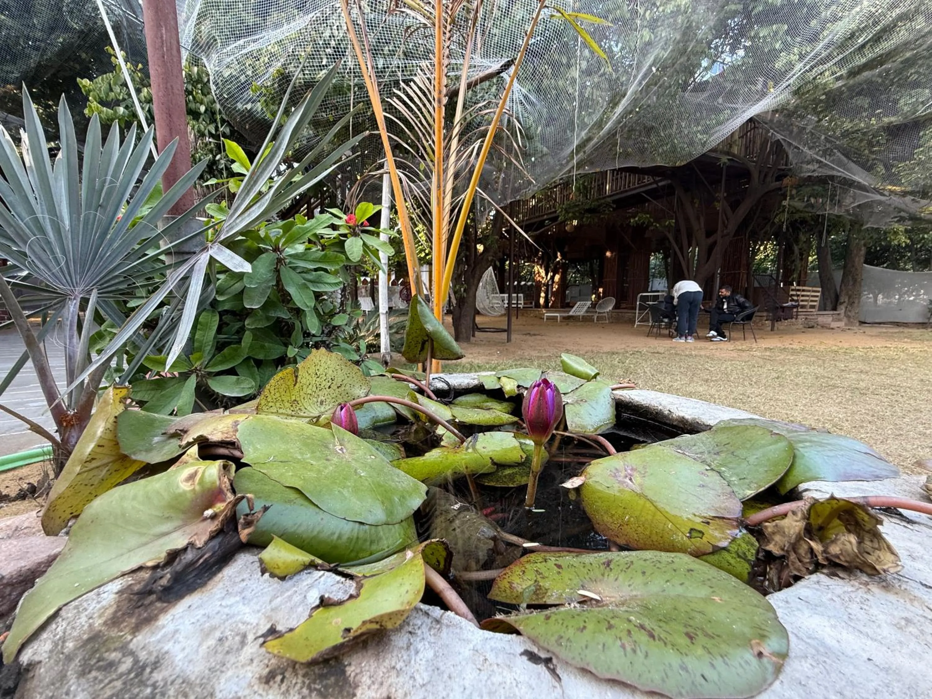 Hotel Green Heaven Resort