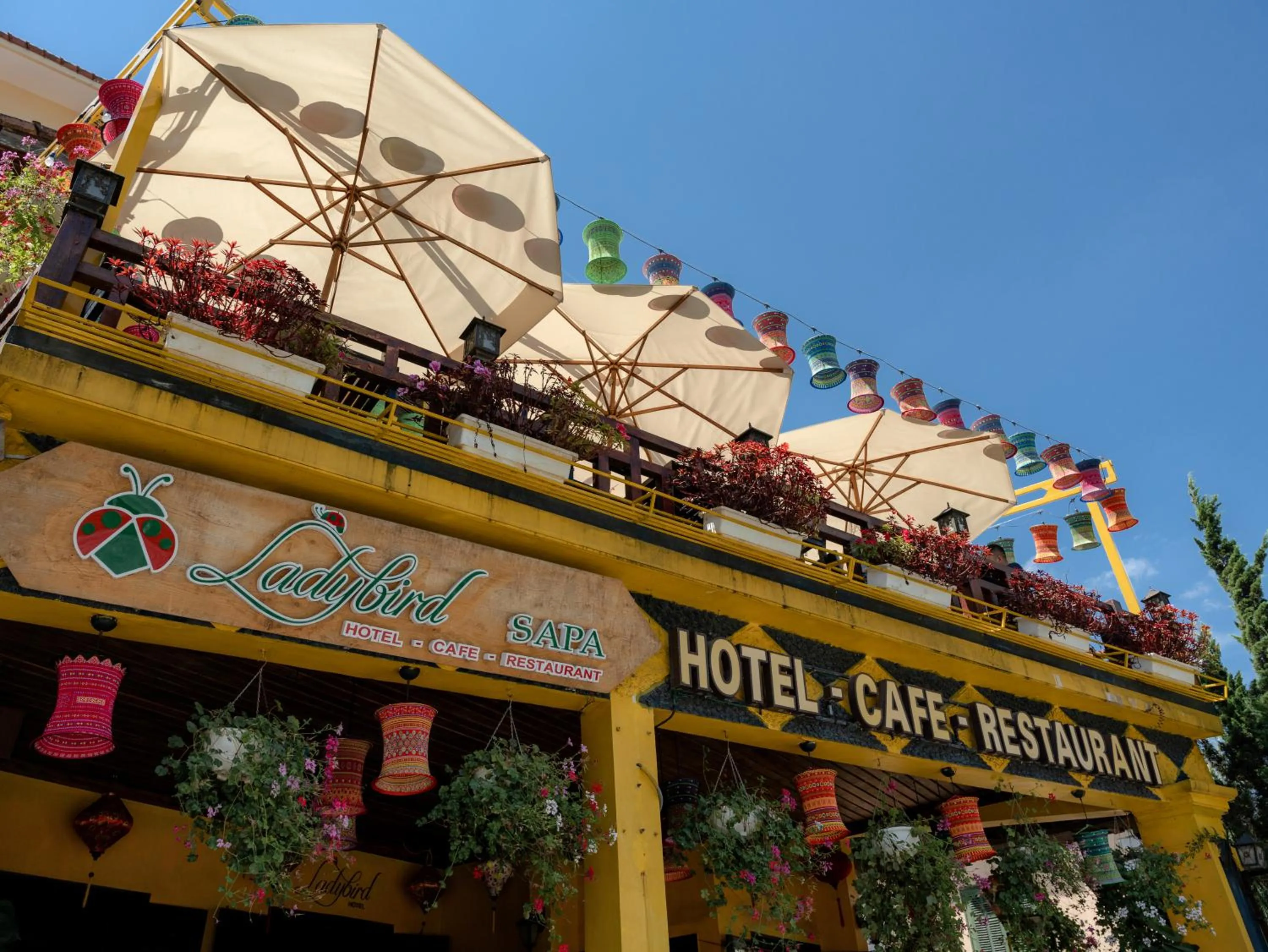 Sunrise in Ladybird Boutique Hotel