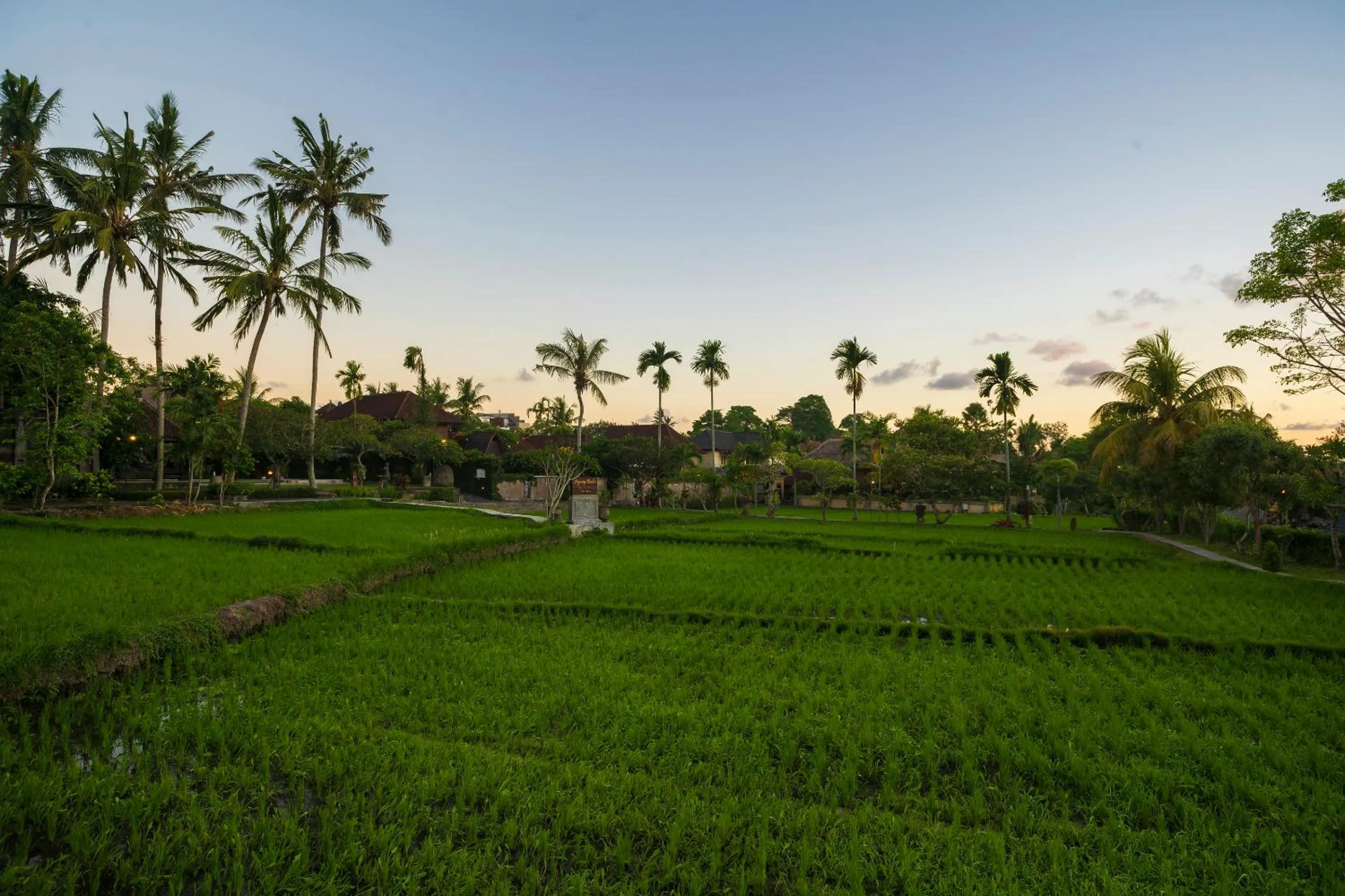 Natural landscape in Amatara Agung Raka