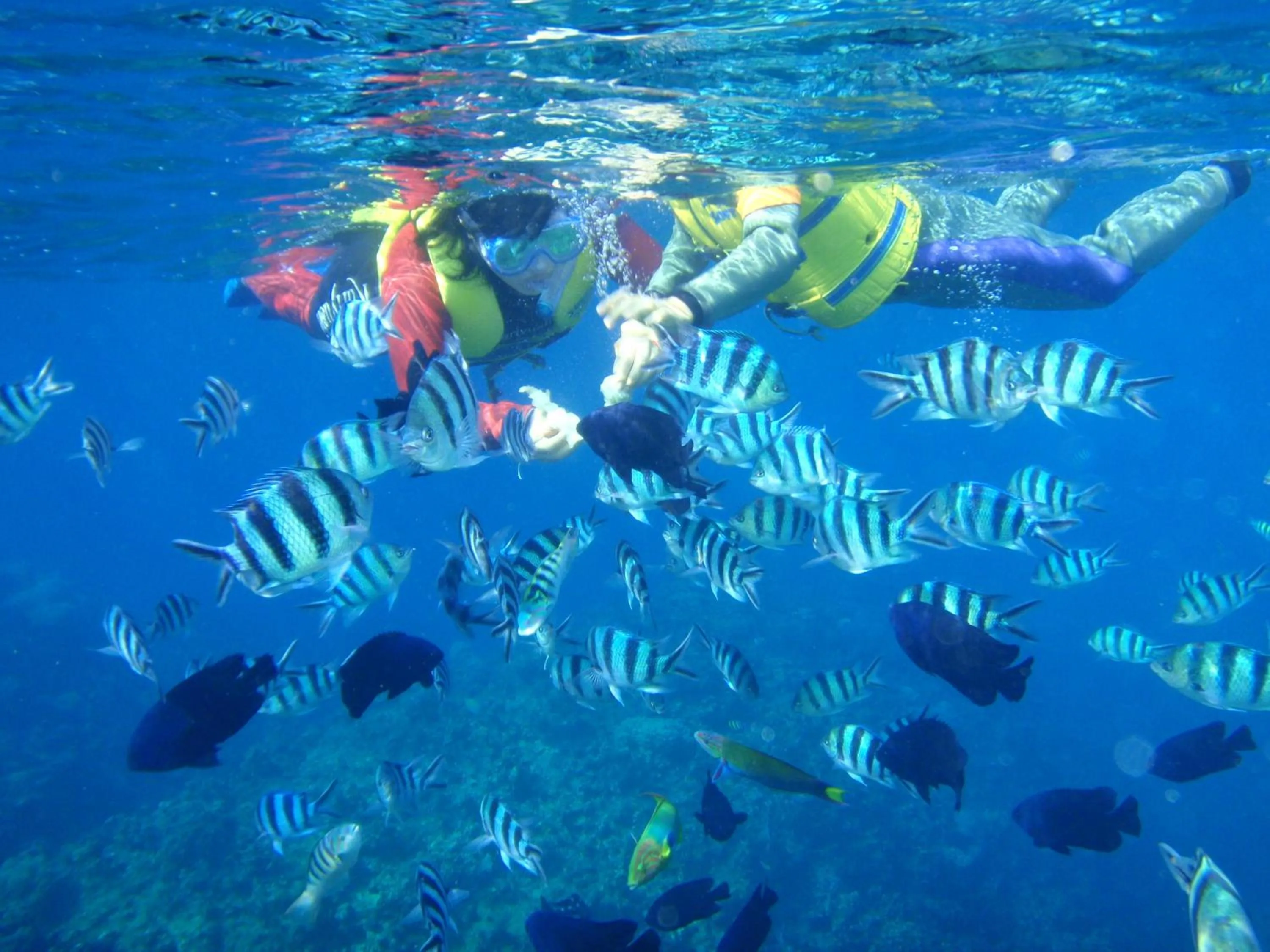 Snorkeling in Okinawa Kariyushi Beach Resort Ocean Spa