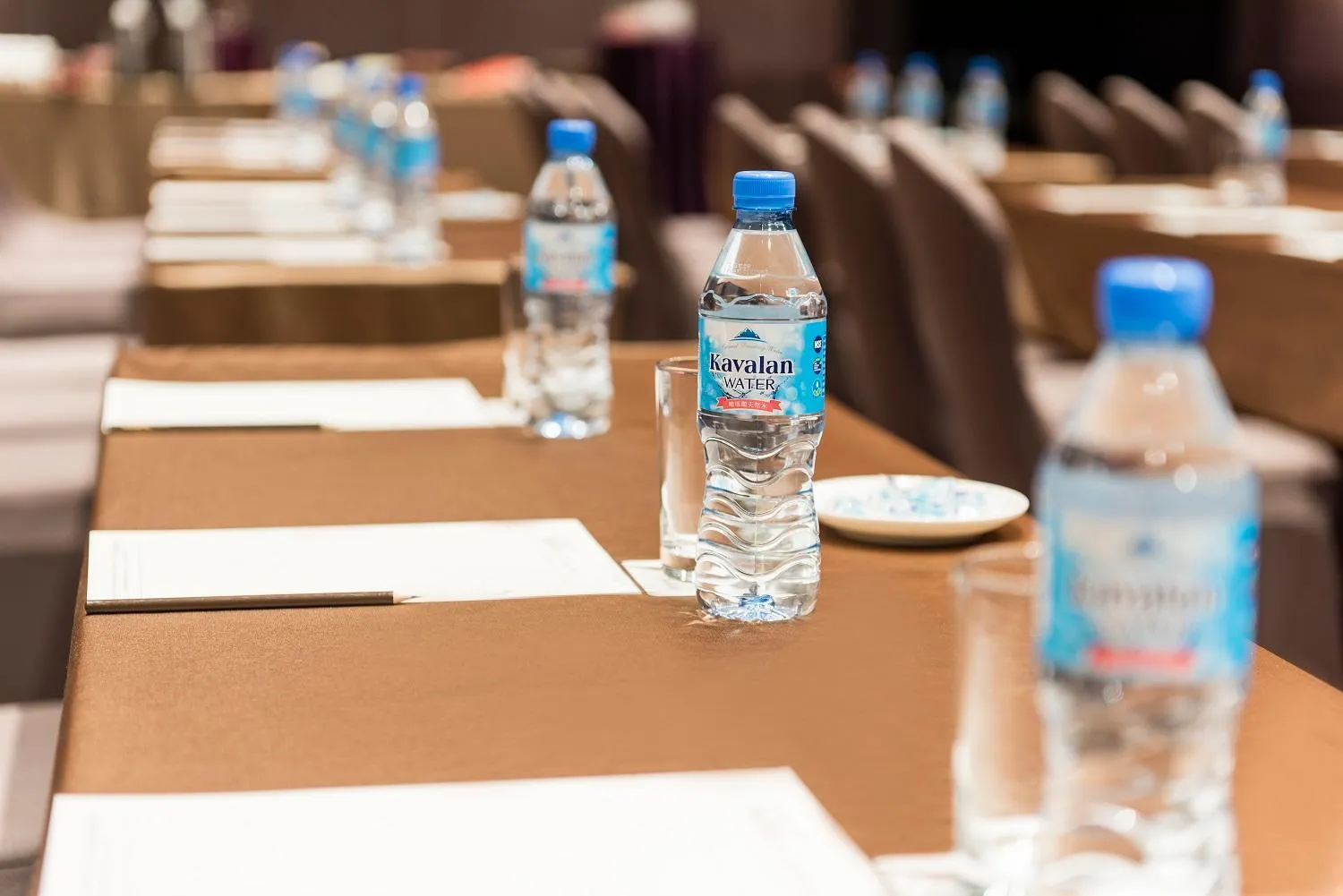 Business facilities in Hotel Valletta