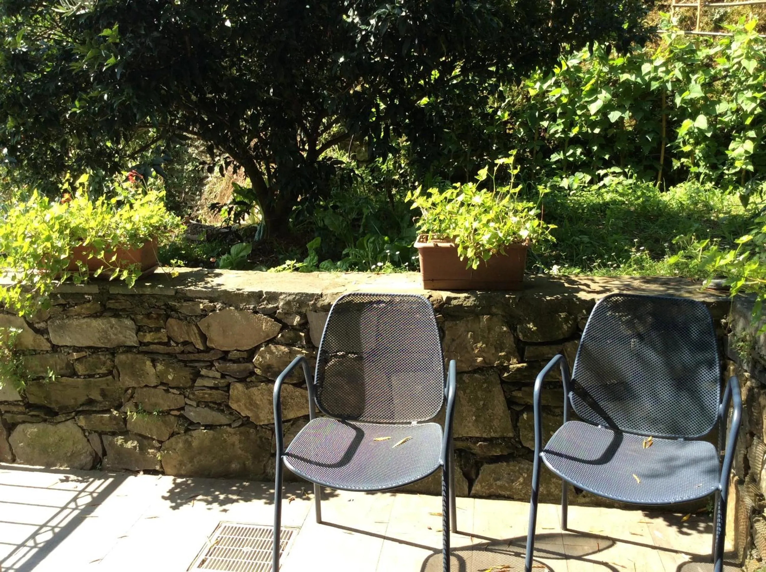 Balcony/Terrace in Hotel Il Saraceno