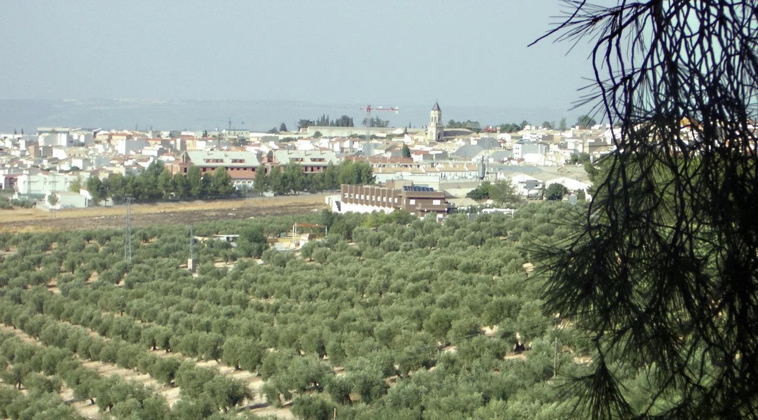 Area and facilities in Hotel La Zambra