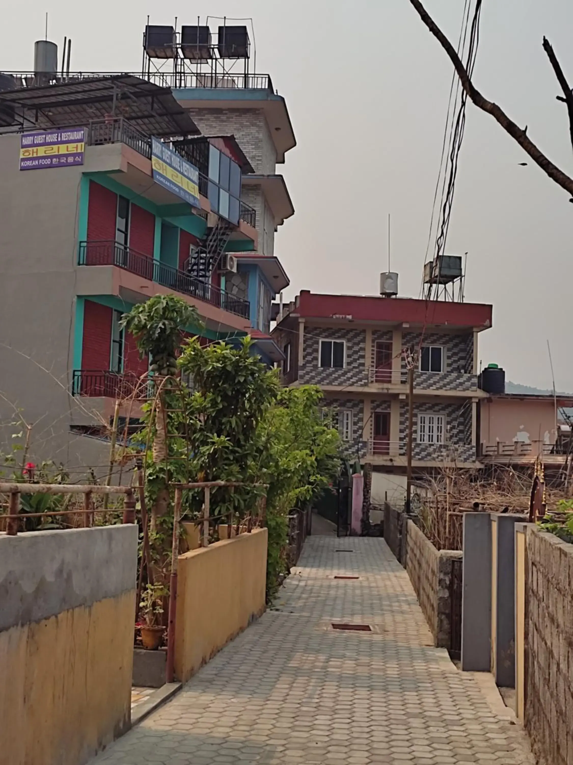 Budget Triple Room - single occupancy in Harry Guest House & Restaurant Budget Triple Room - single occupancy in Harry Guest House & Restaurant